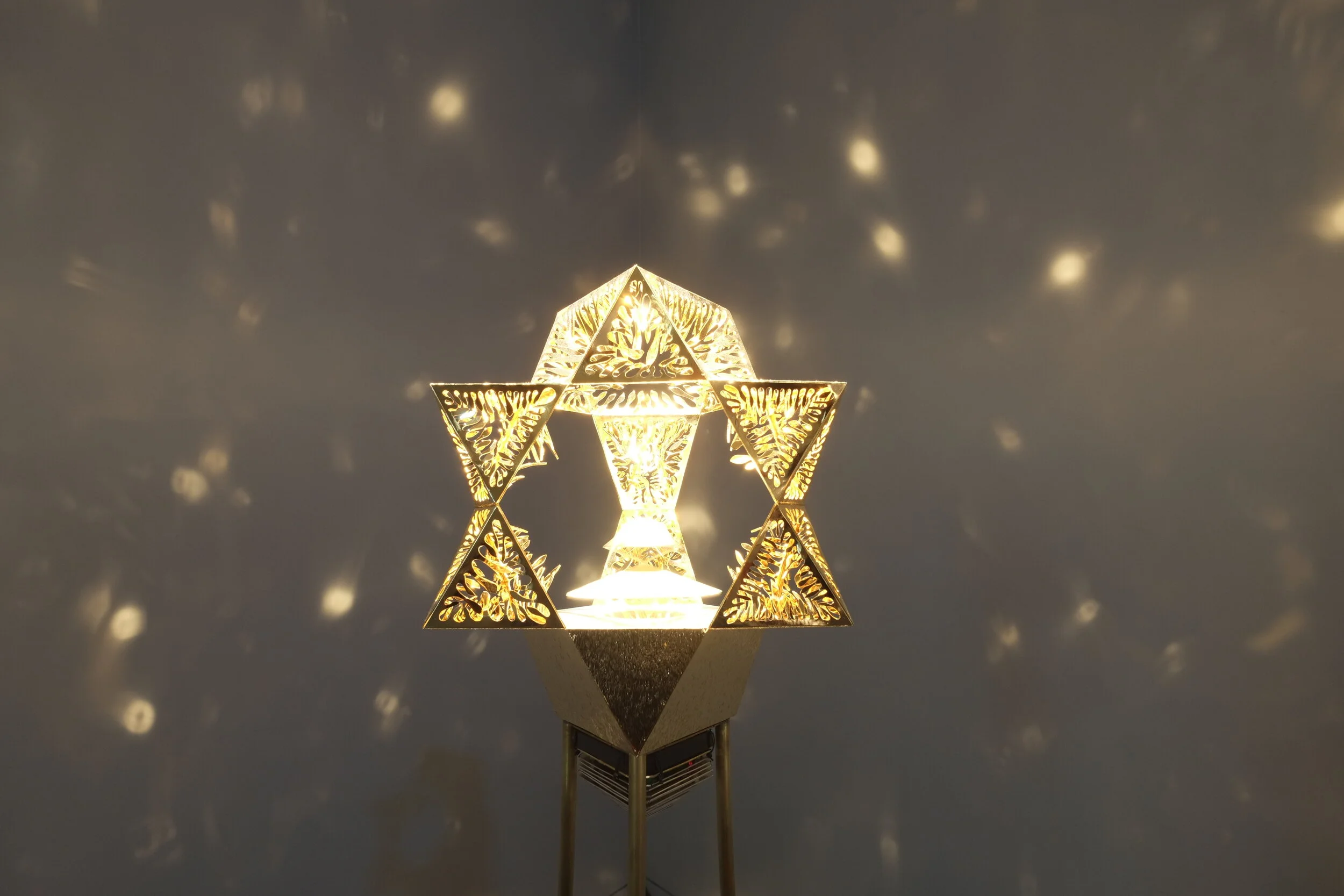 DSCF7731.JPG