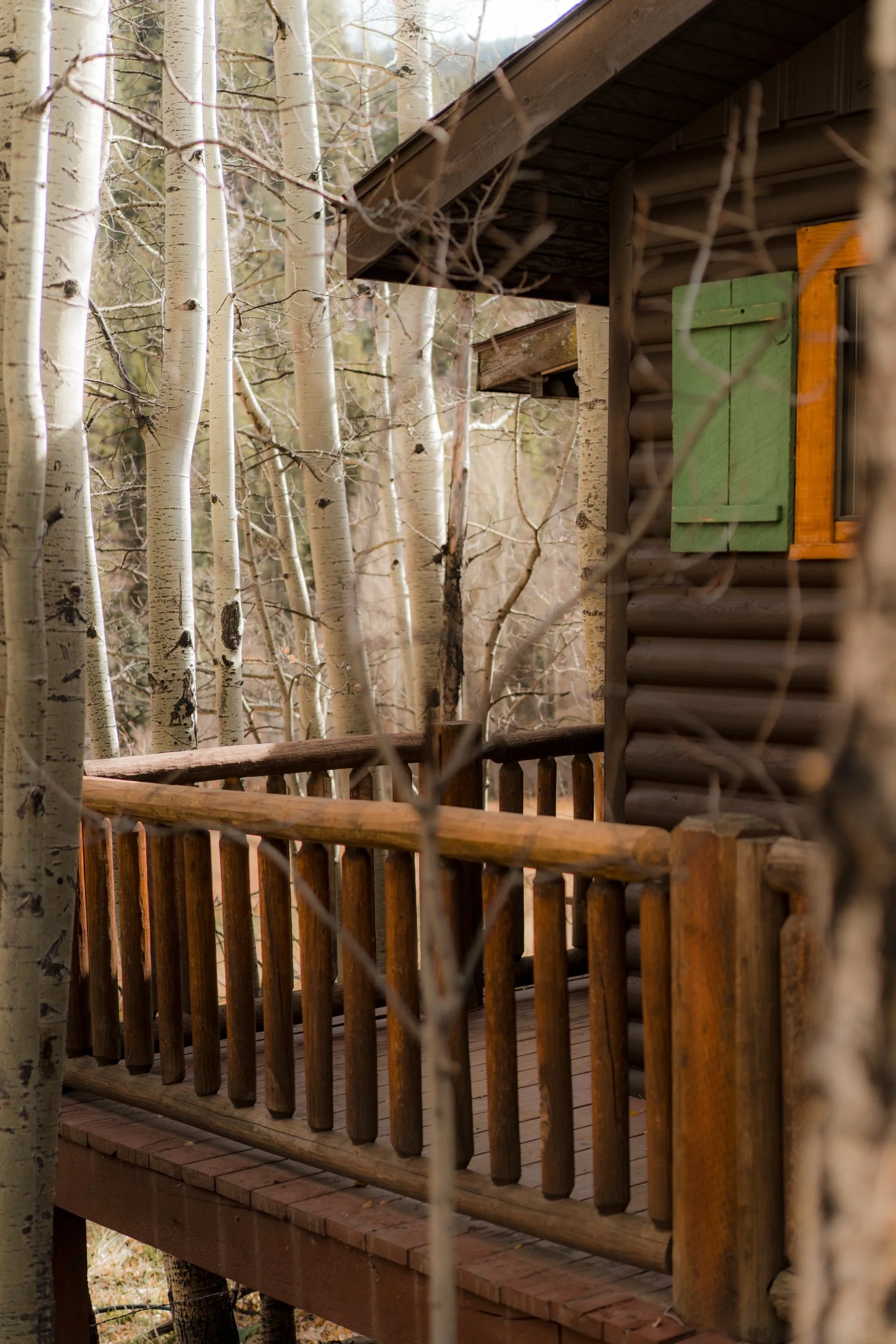 TRR_Josh Perez_4.jpg