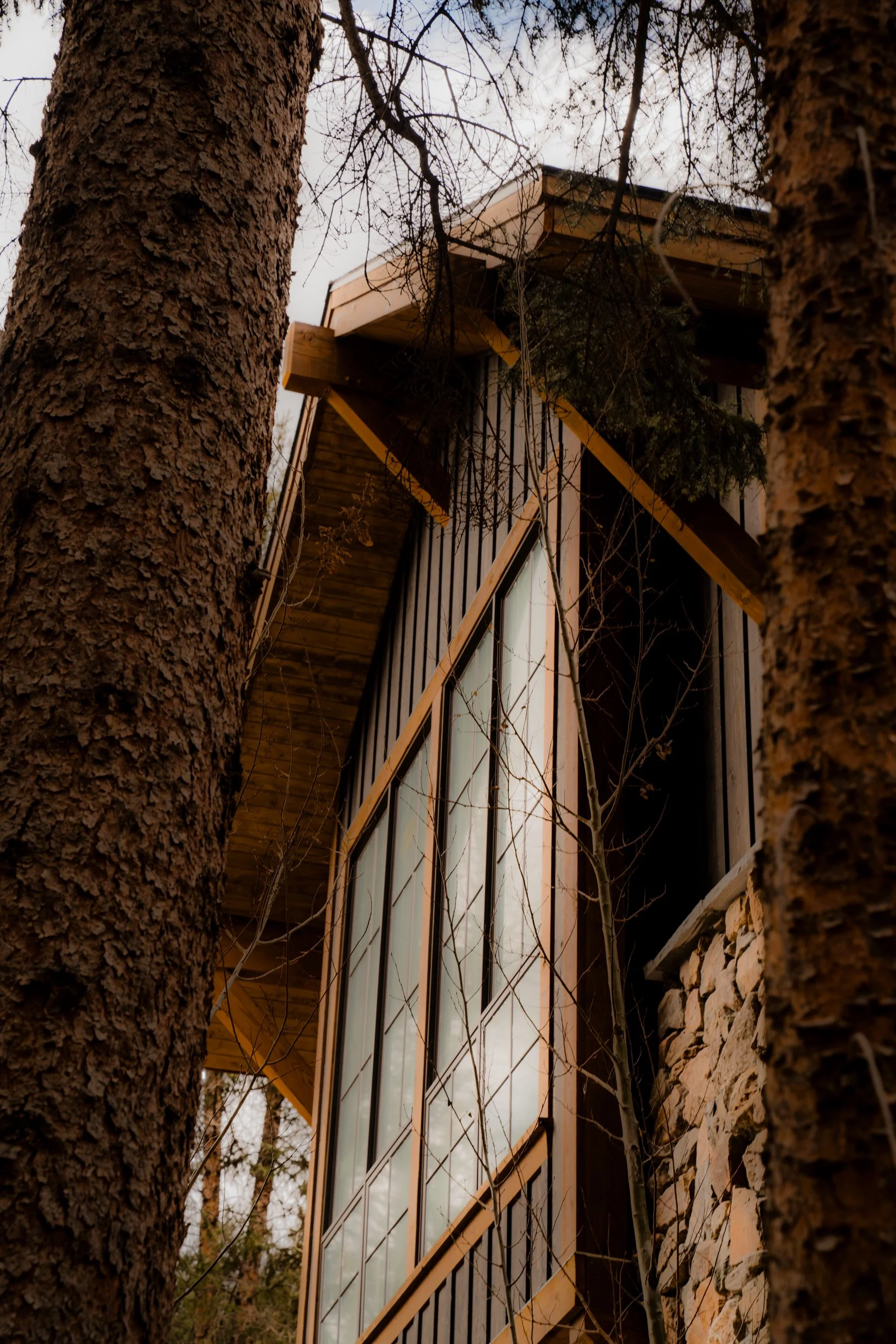 TRR_Josh Perez_15.jpg