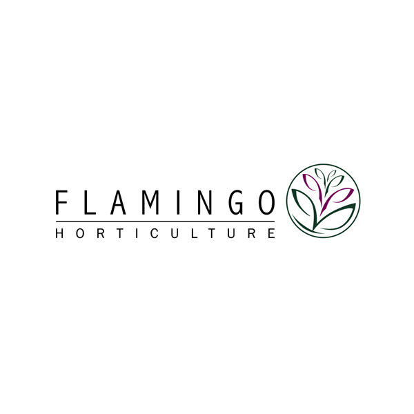 Flamingo Horticulture Logo IN5 Architects.jpg