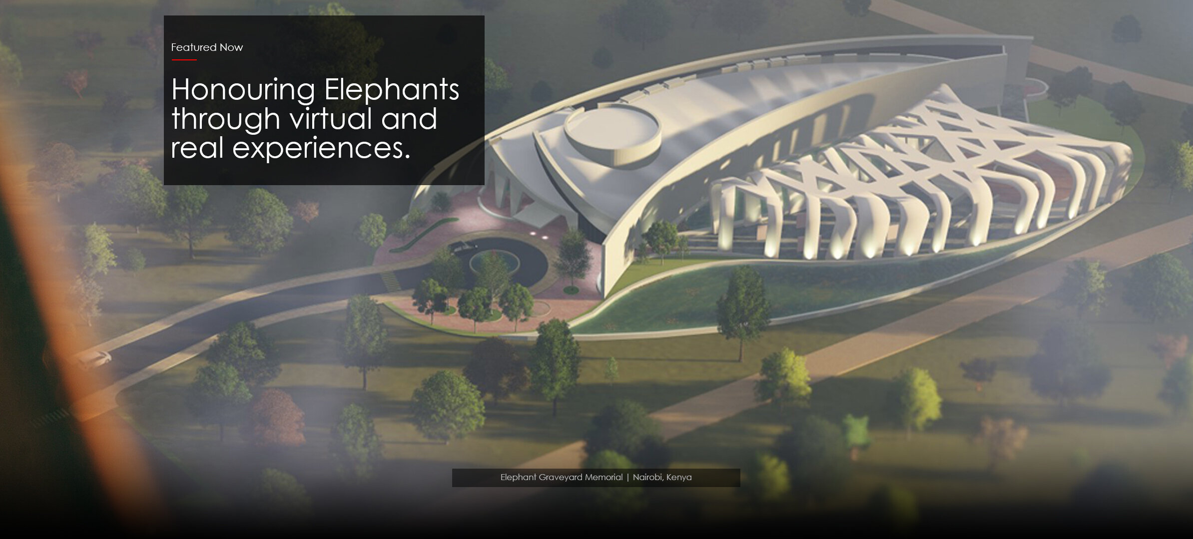 Elephant Graveyard Memorial Kenya Architect Nairobi Interior Design Designer Nairobi Kenya Wildlife Service.jpg