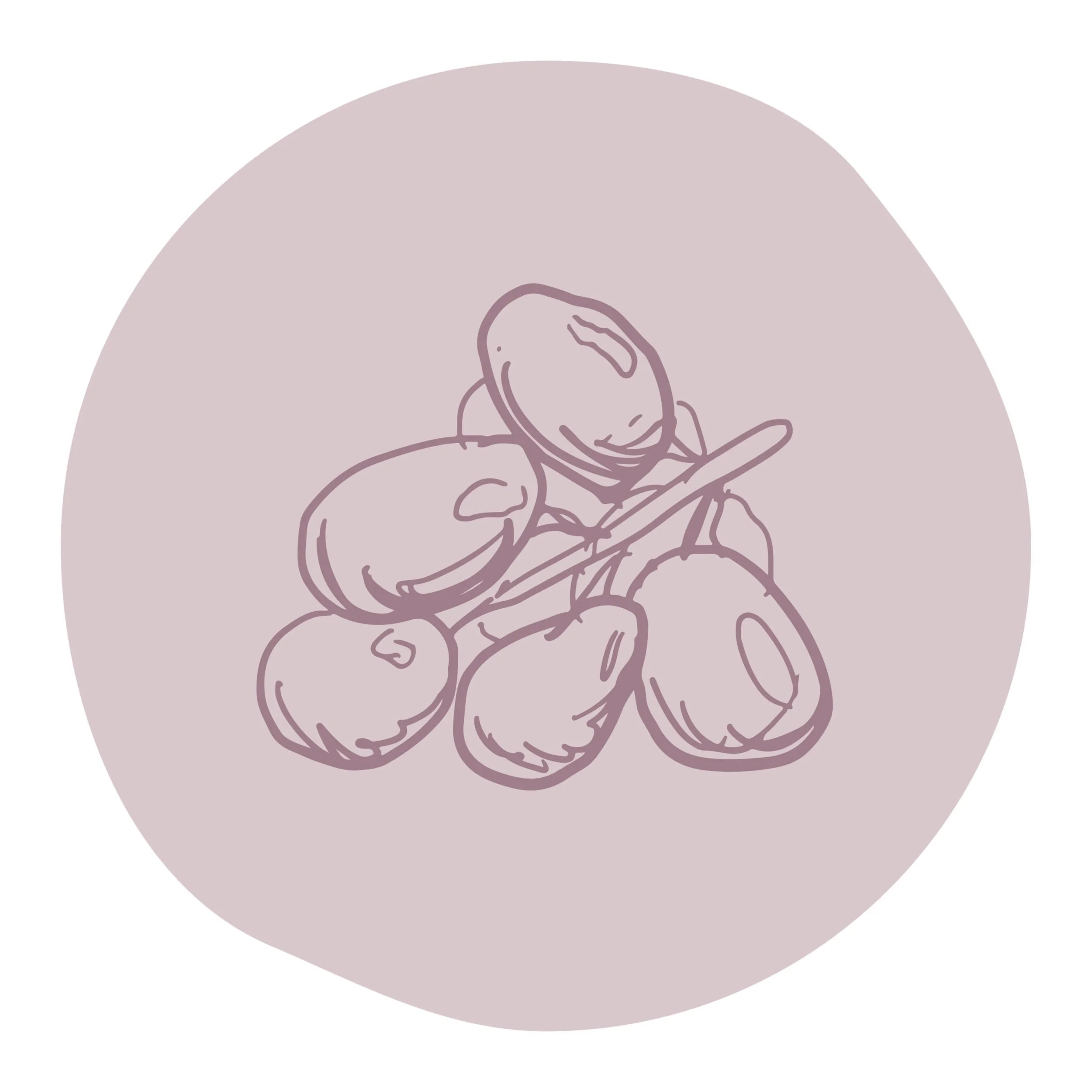 plenty-illustration-circle_grapes-translucent.jpg