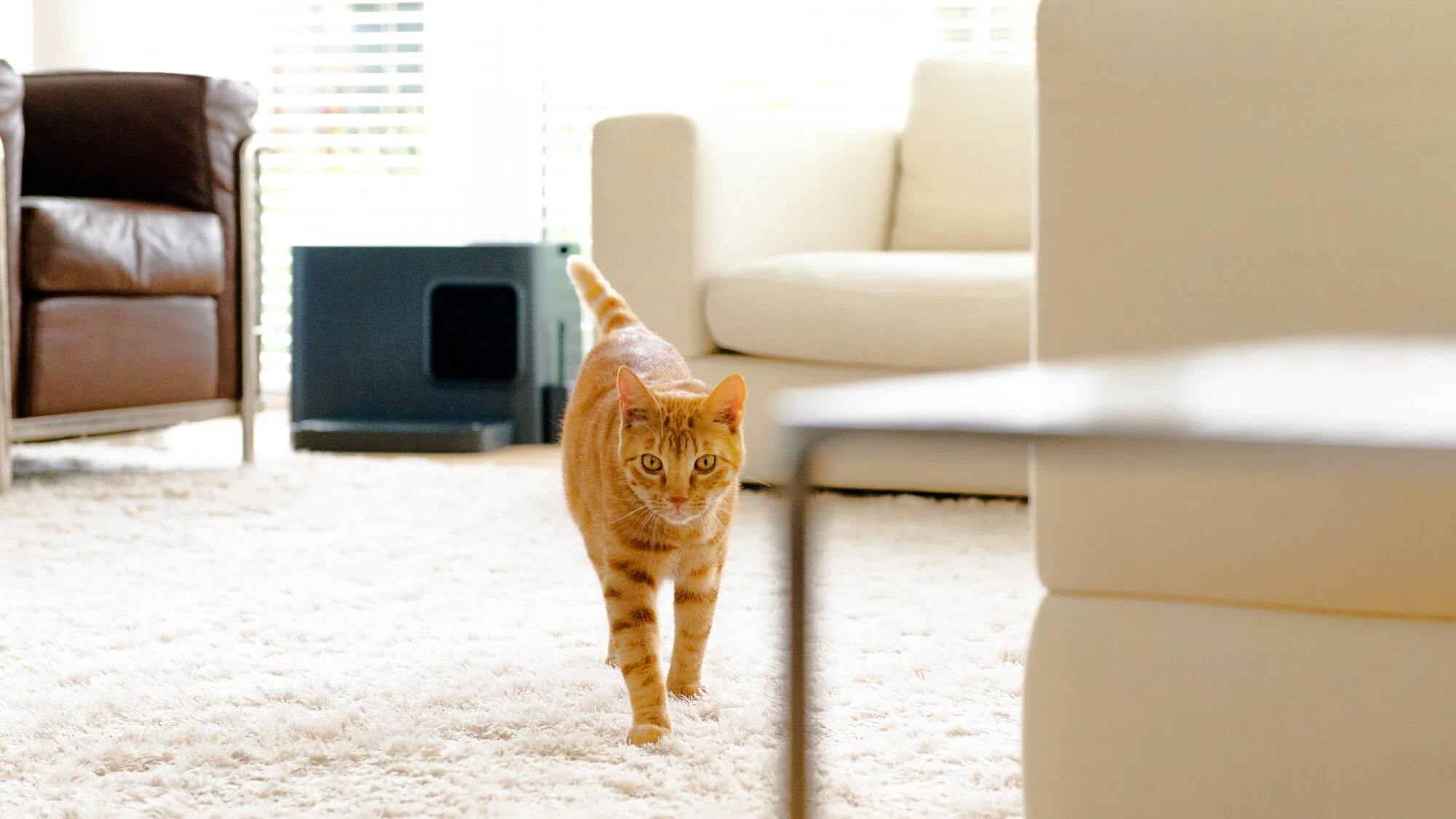 D85_8117-HR-LR.jpg