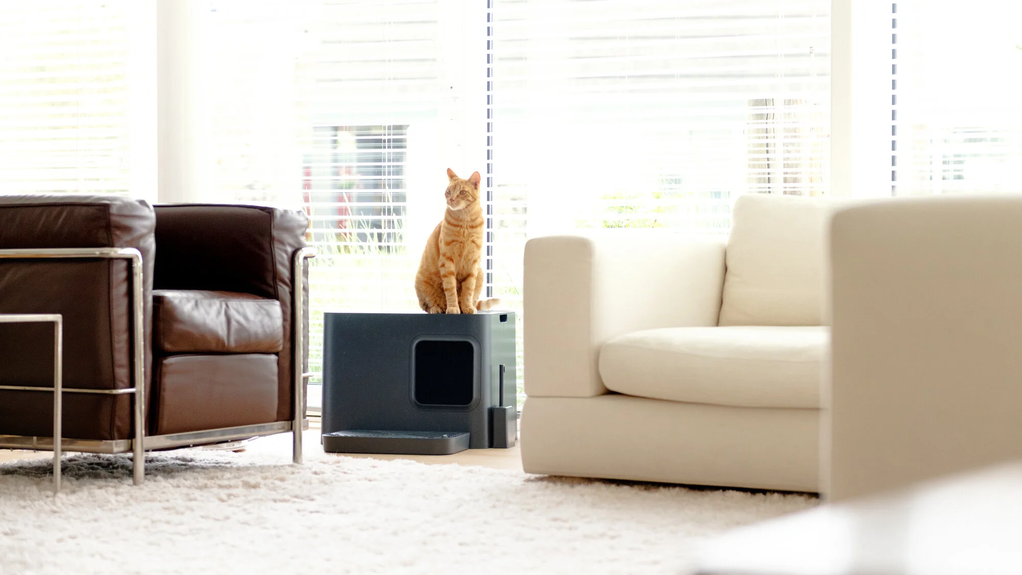 D85_8079-HR-LR.jpg