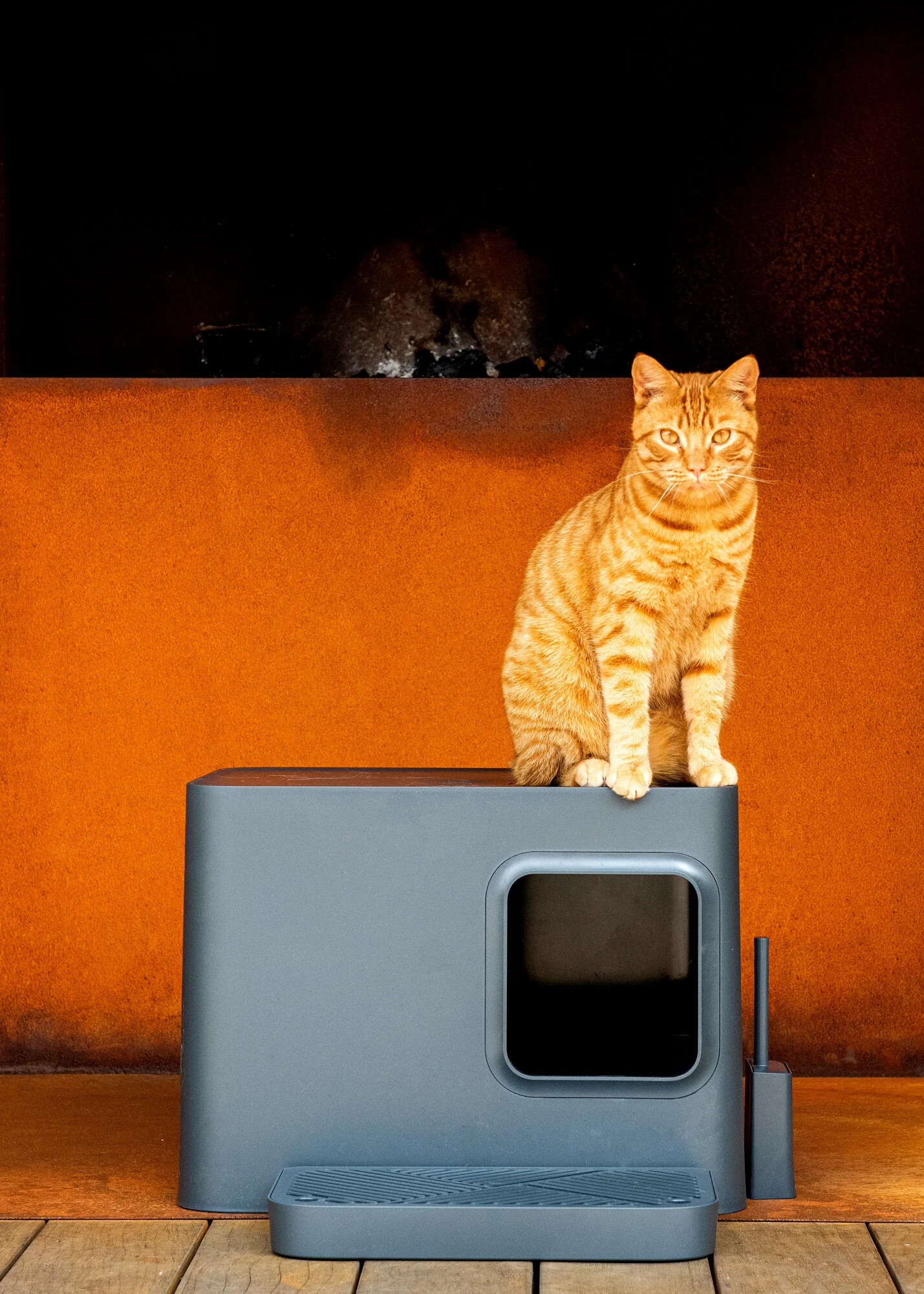 D85_8713-HR-LR.jpg