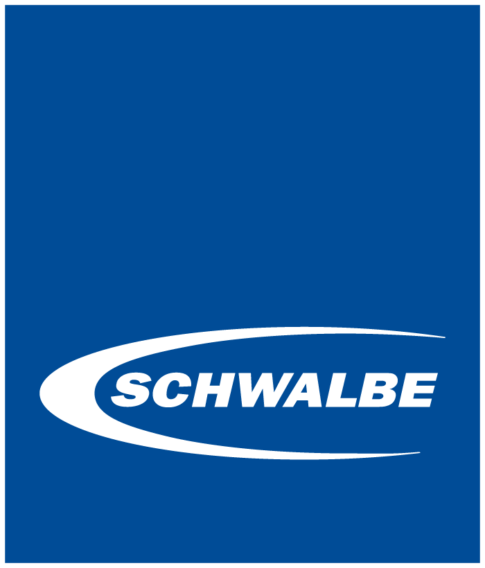 Schwalbe (Kopie) (Kopie)