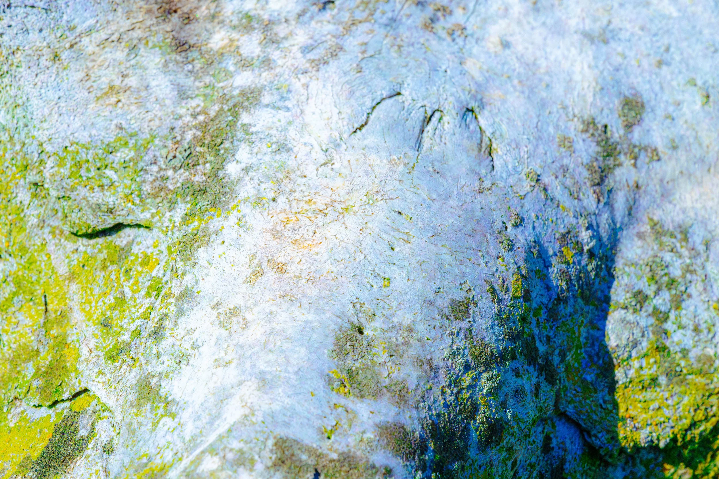 5 copy.jpg