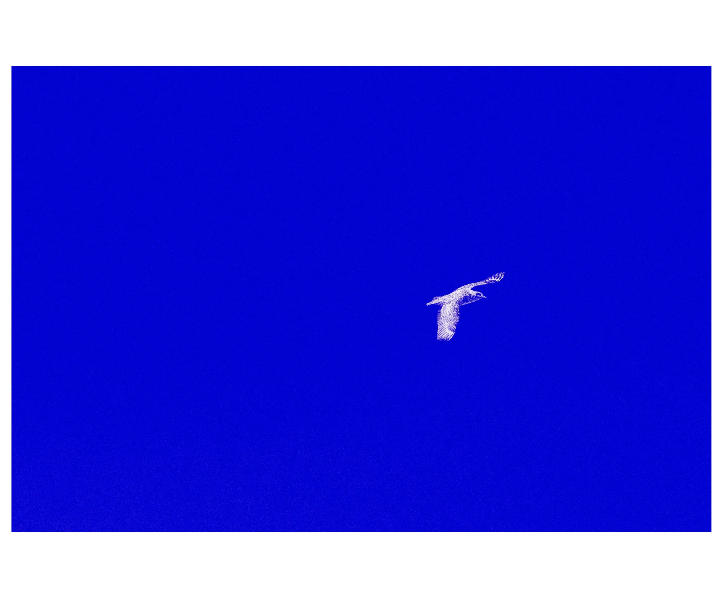 smallframe6 copy.jpg