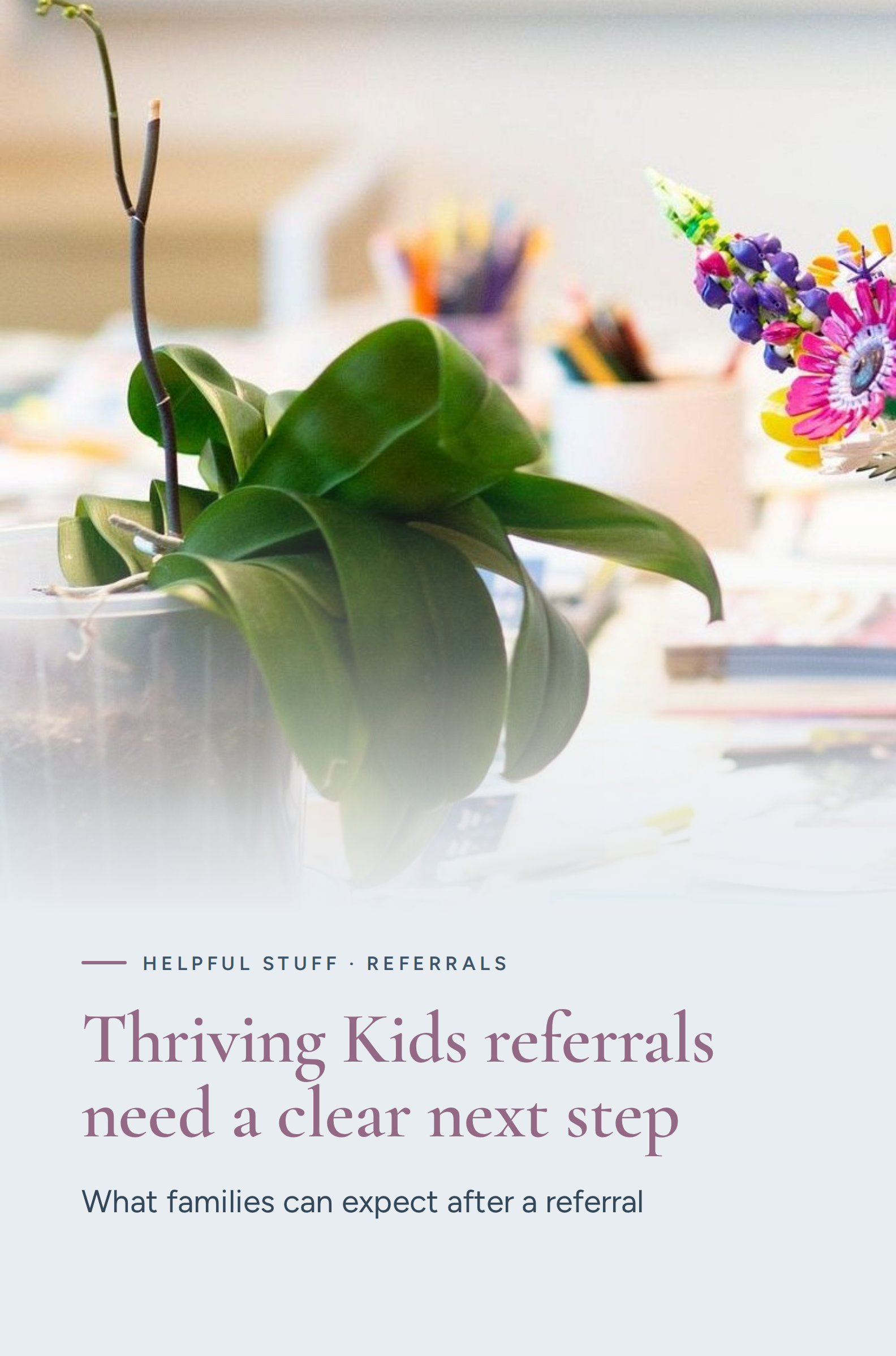 Thriving Kids referrals need a clear next step guide 