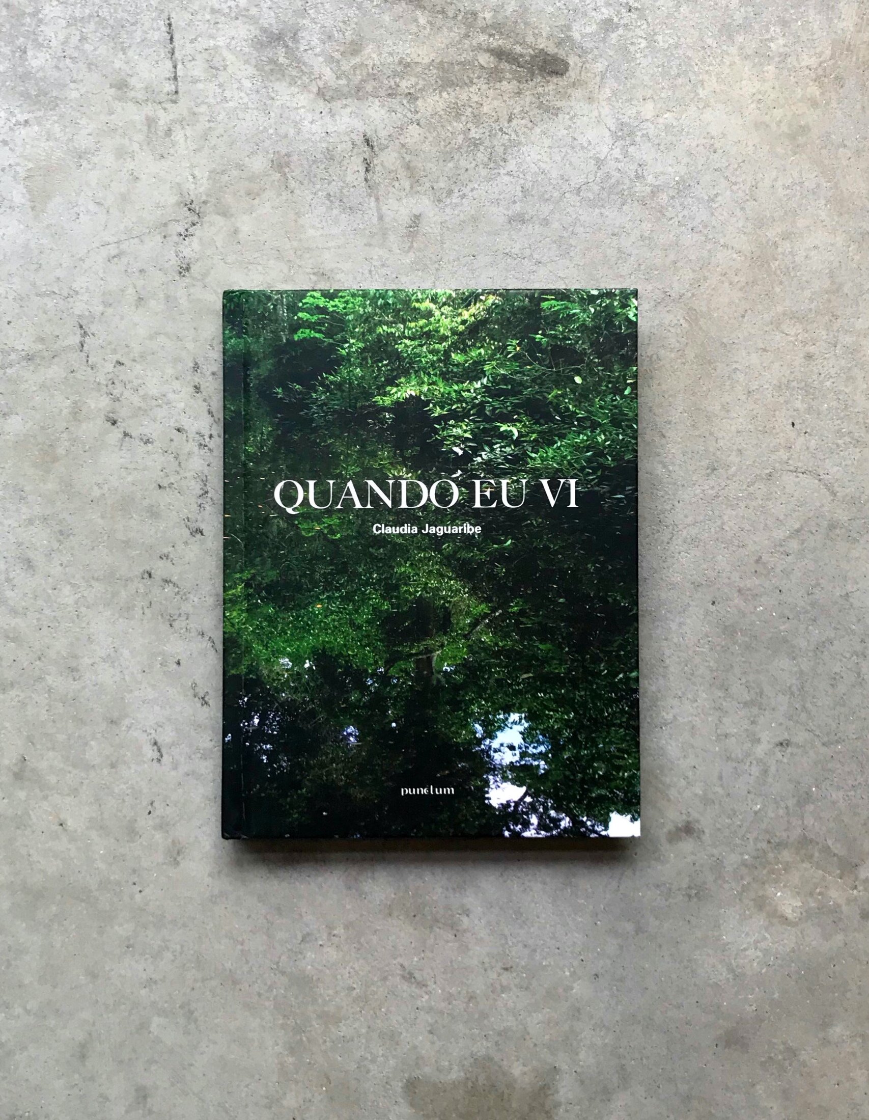 Claudia Jaguaribe / Quando eu vi