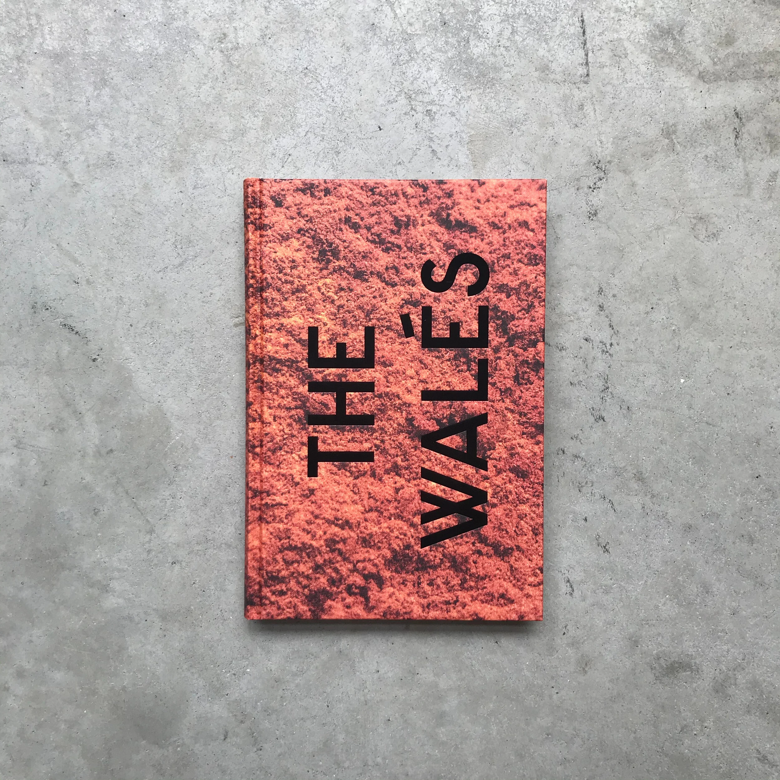 Patrick Willocq / Songs of the Walés