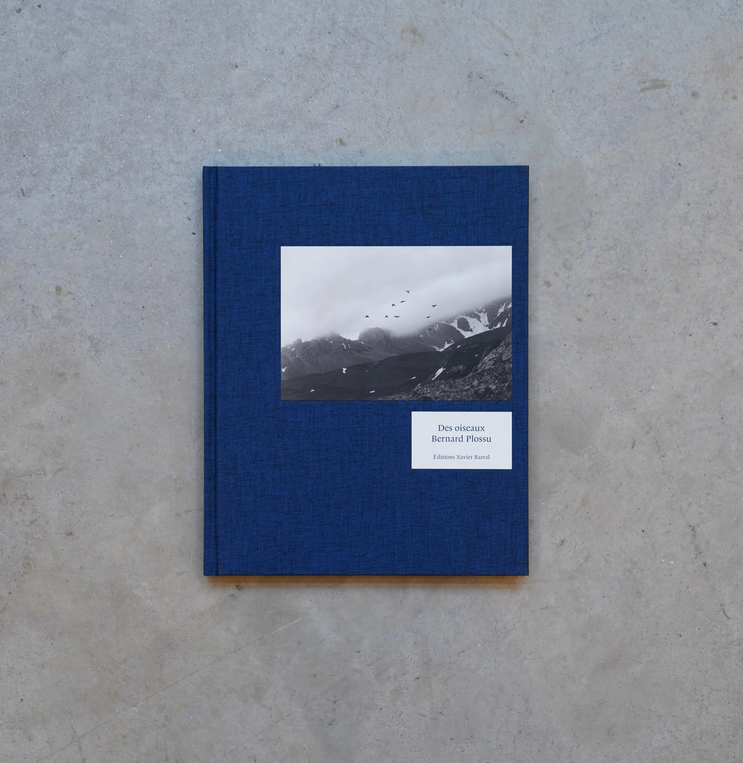 Bernard Plossu / Des oiseaux