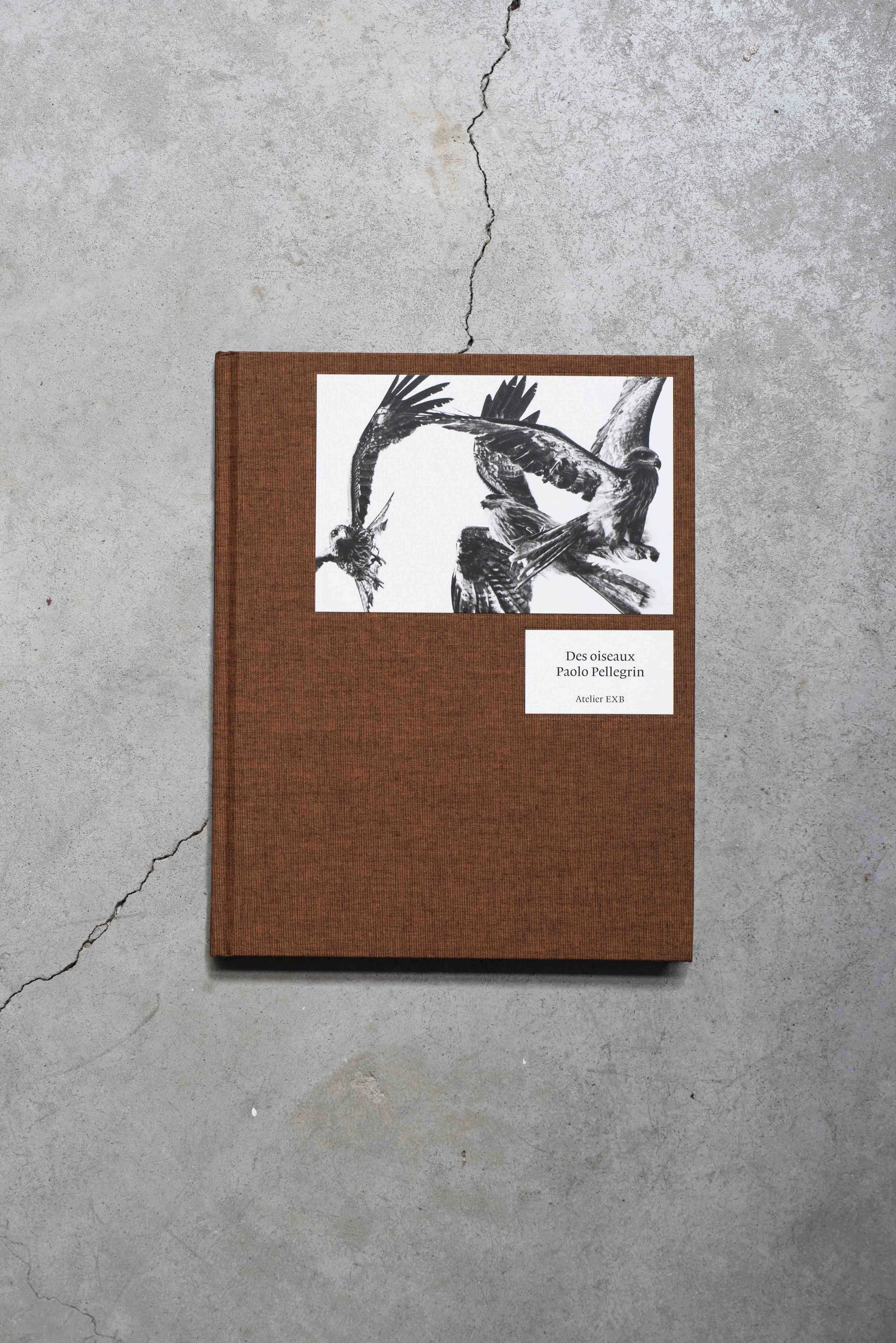 Paolo Pellegrin / Des Oiseaux