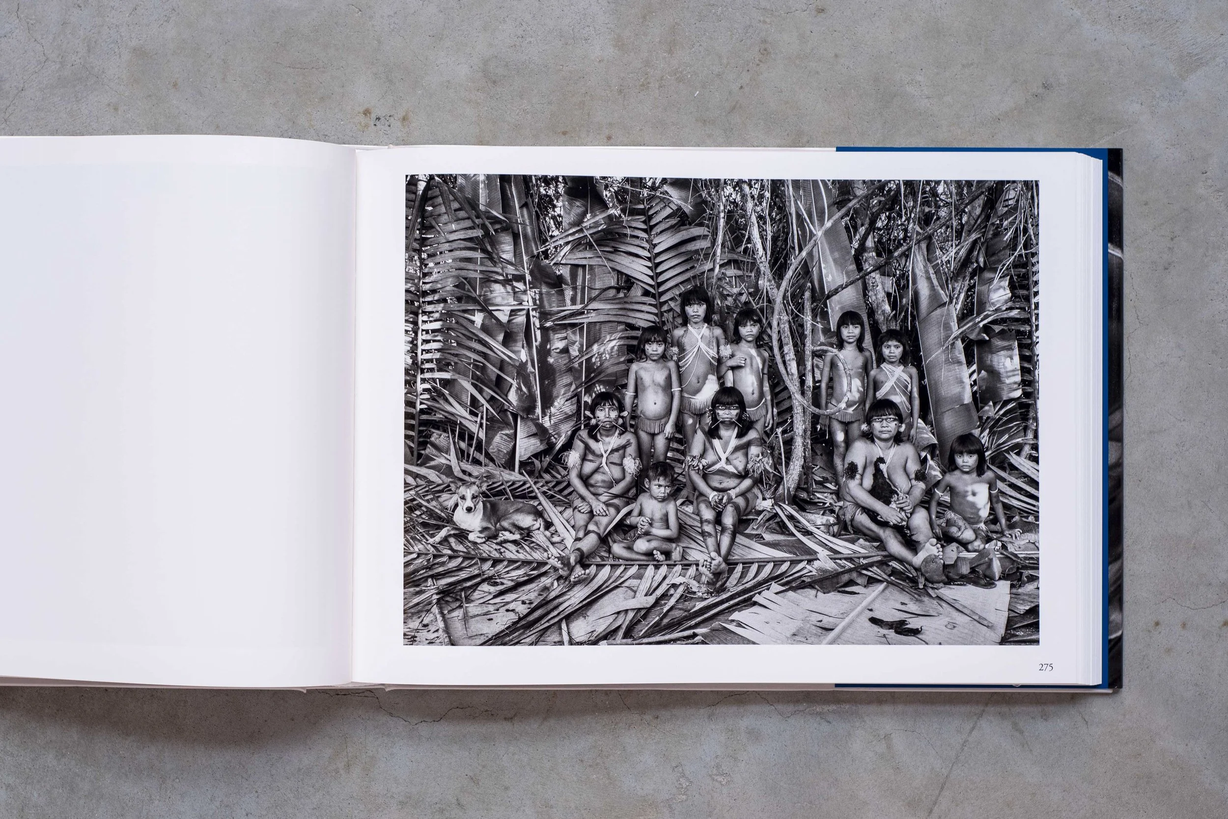 Sebastian Salgado3.jpg