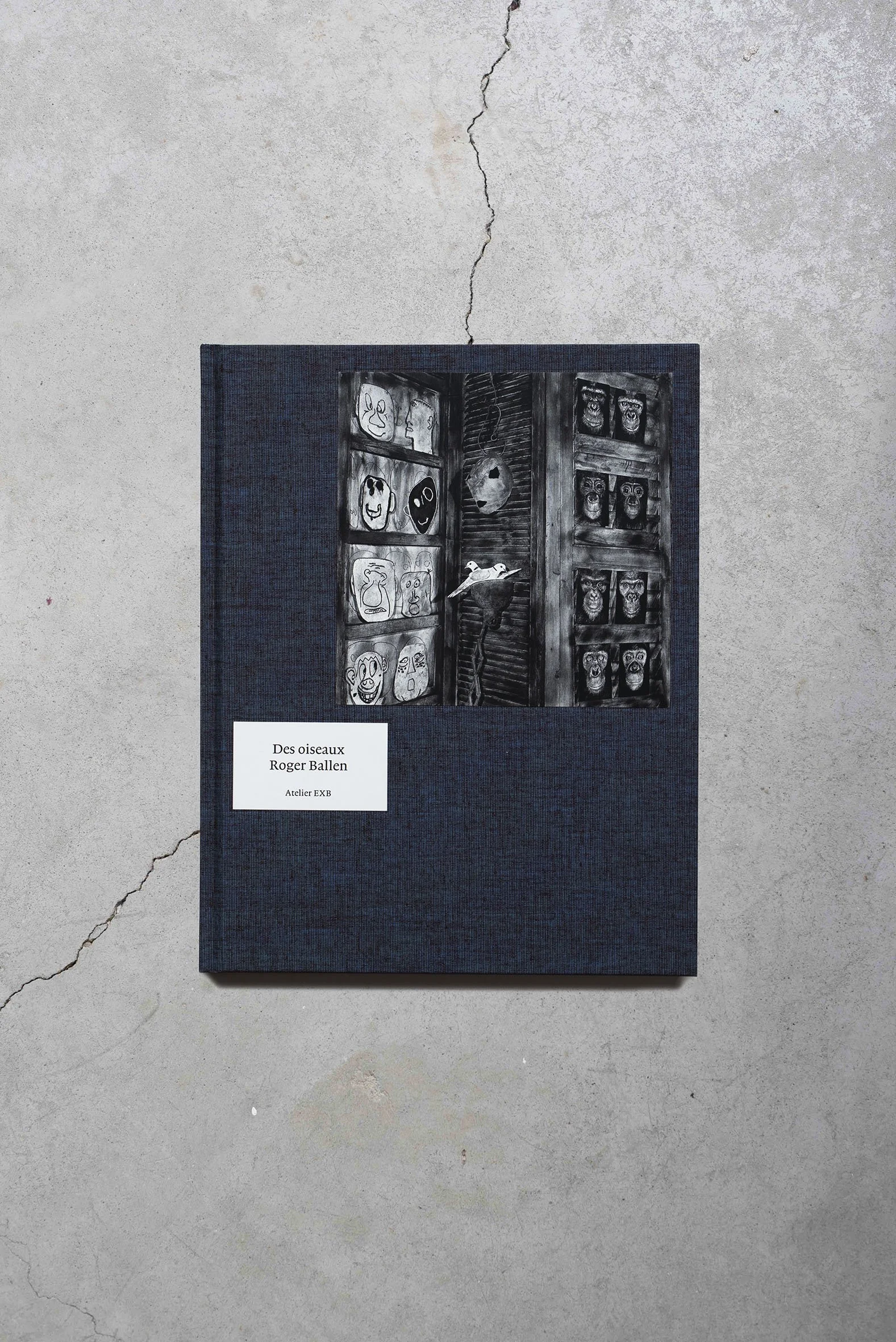 Roger Ballen / Des Oiseaux