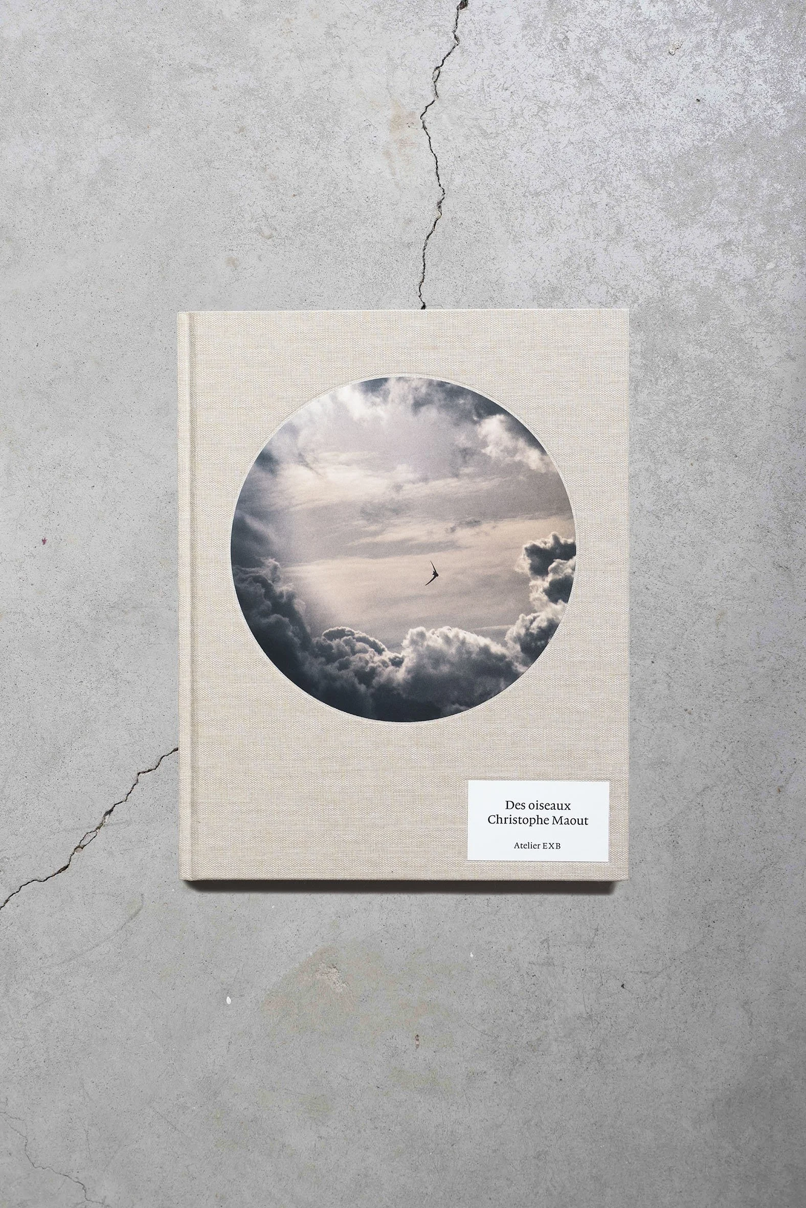 Christophe Maout / Des Oiseaux