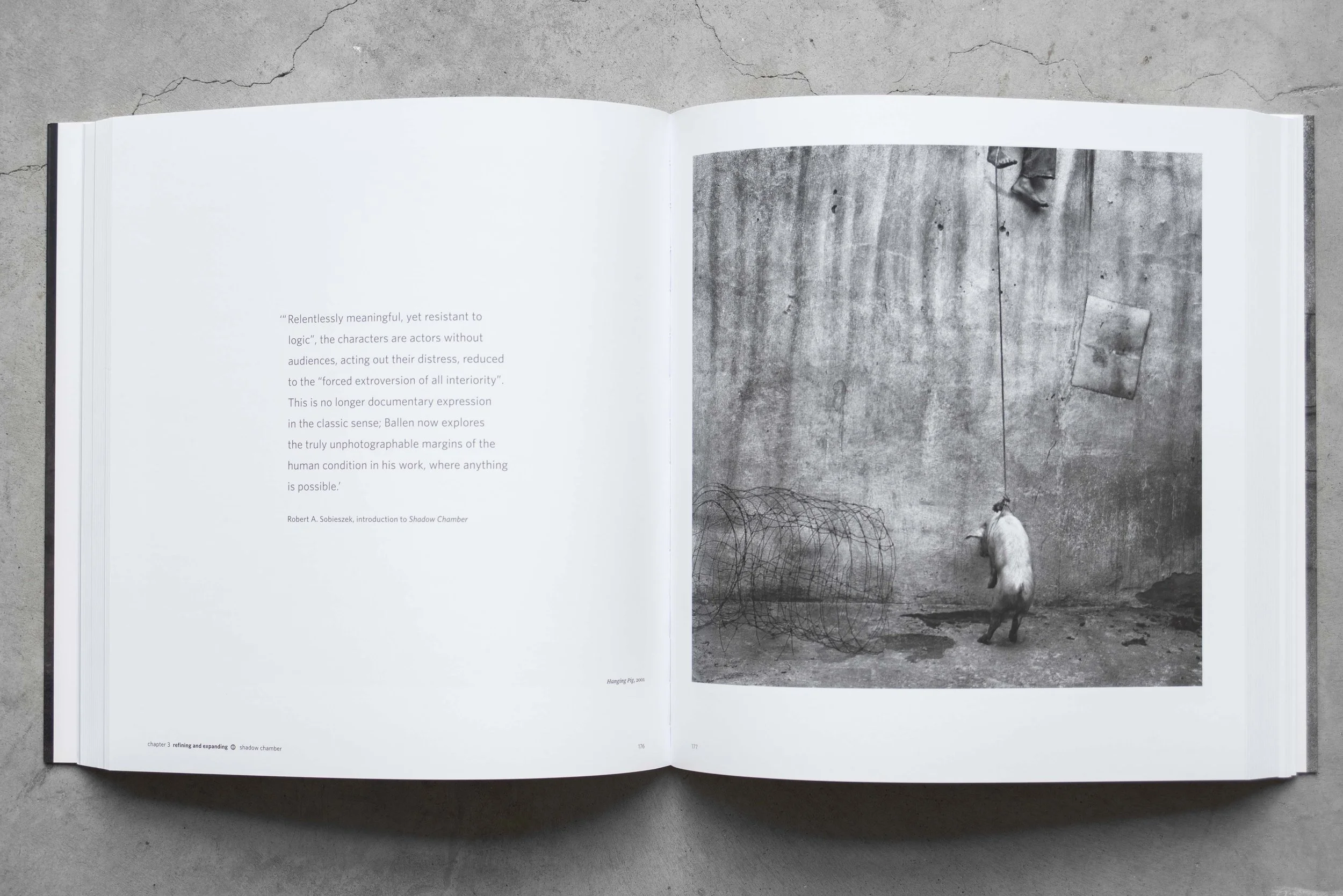 Session hangar oiseaux abramow-169.jpg