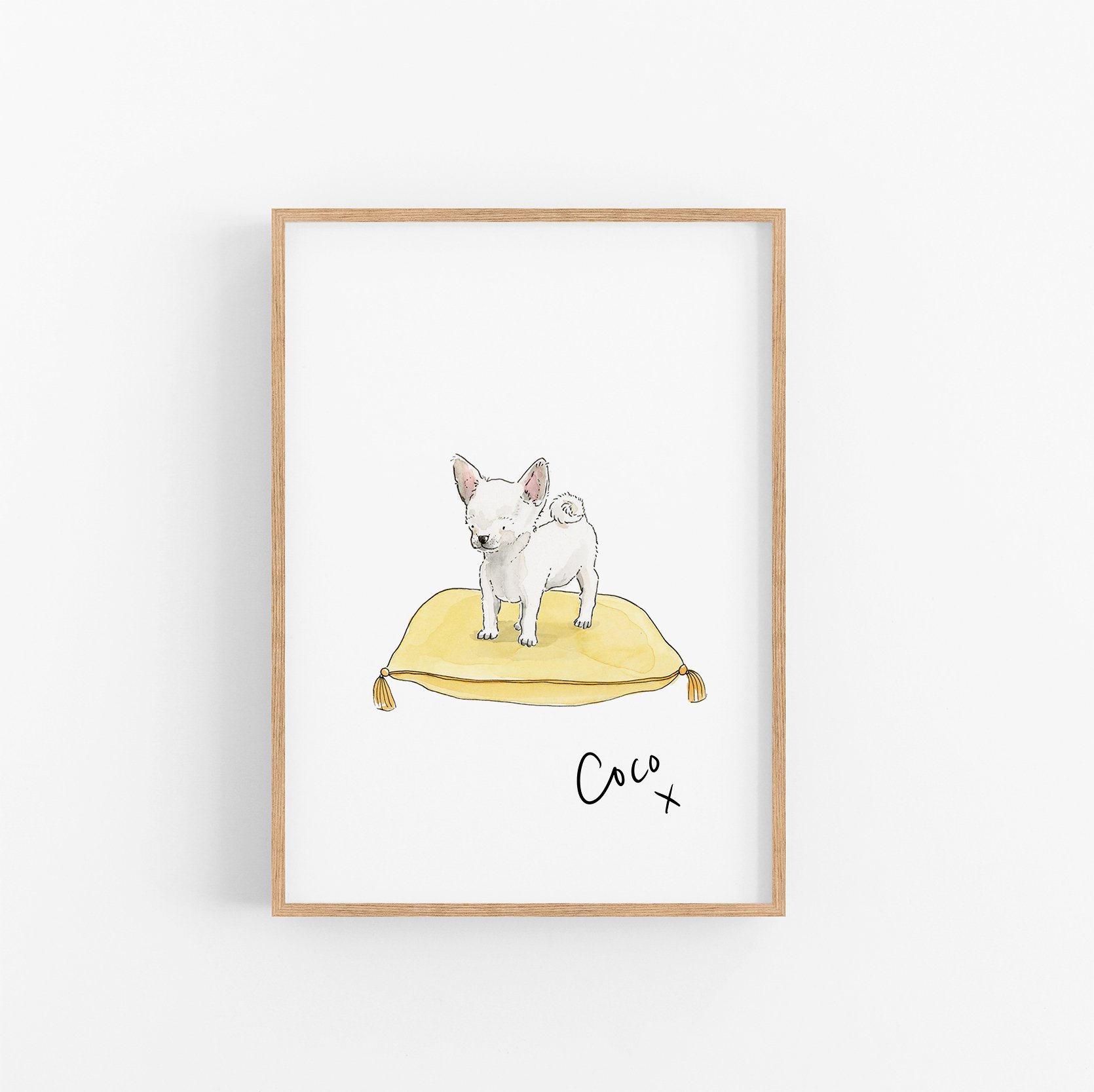 Chihuahua.jpg