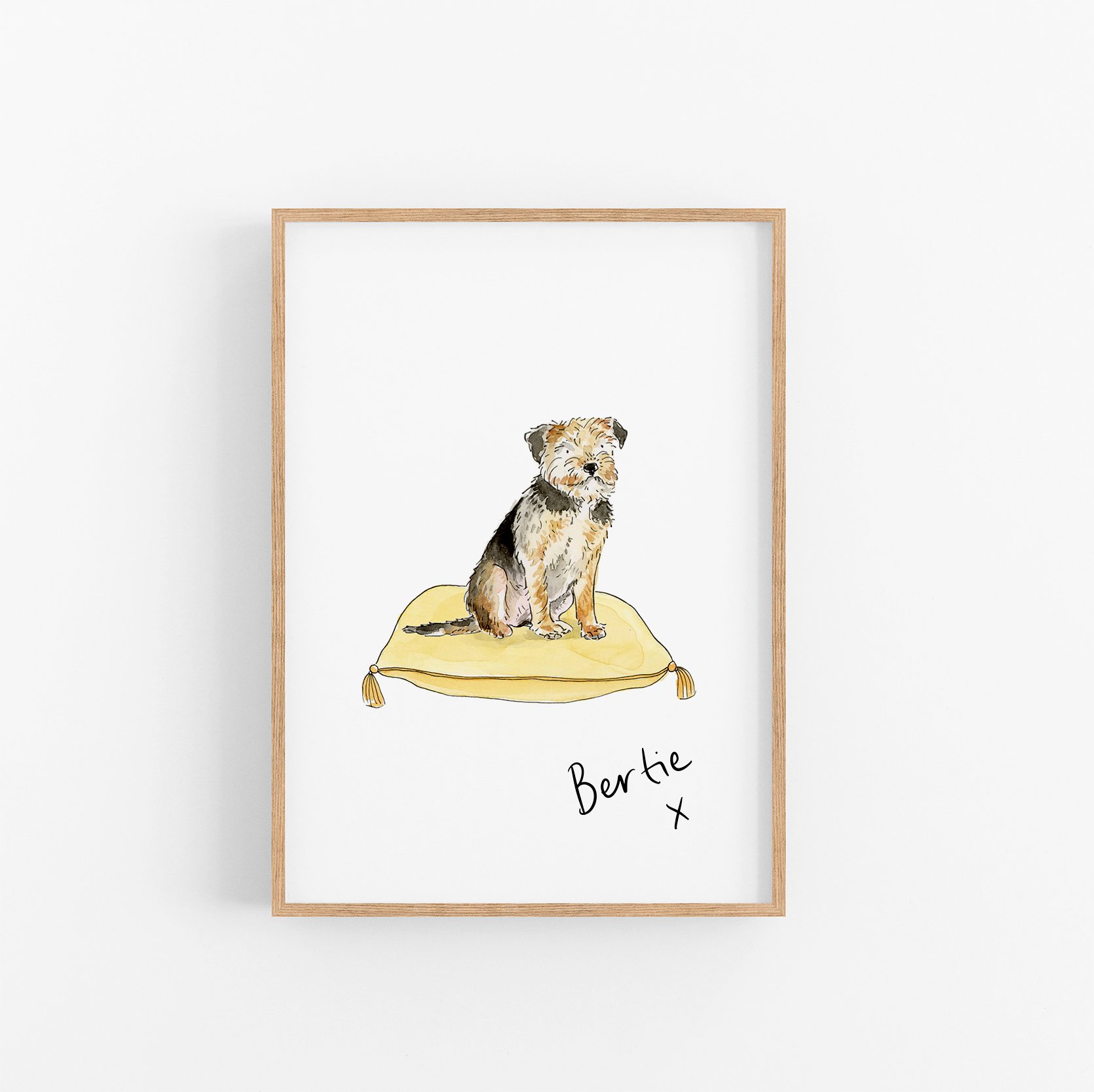 Border Terrier.jpg