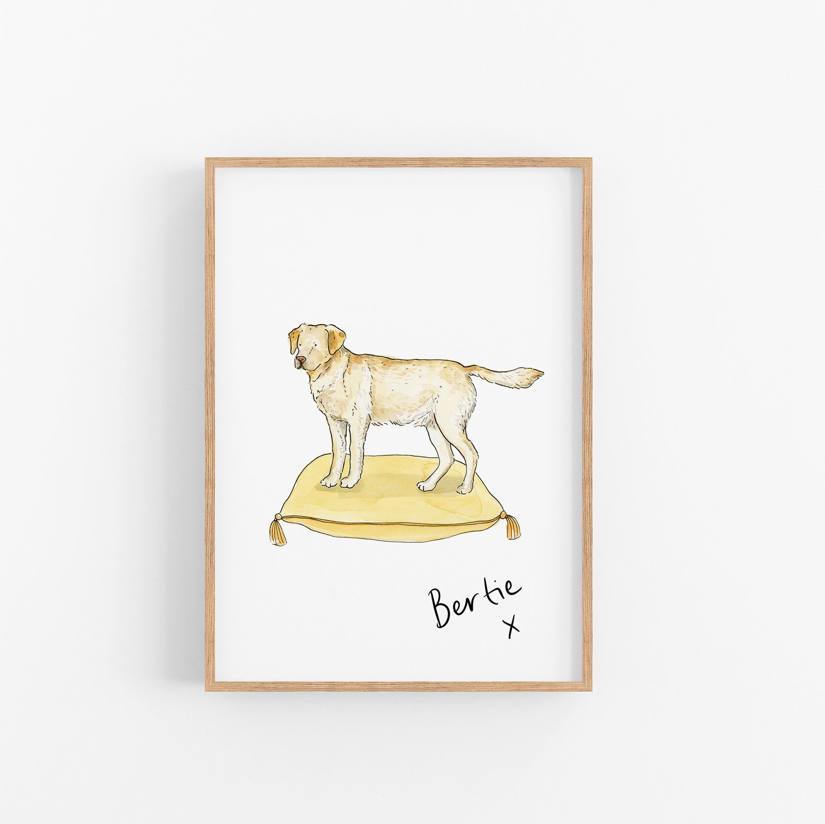 Golden Labrador.jpg