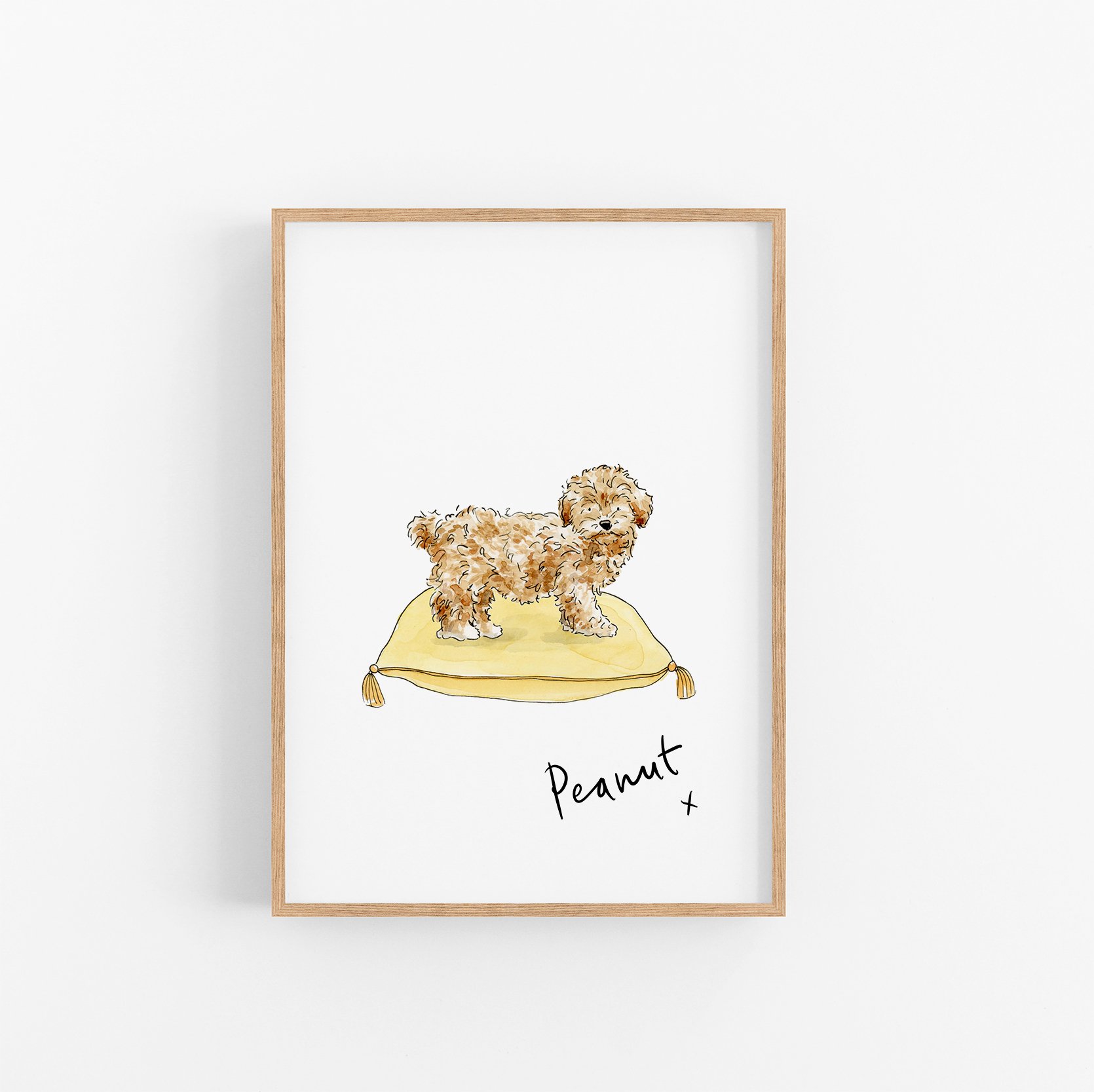 Maltipoo.jpg