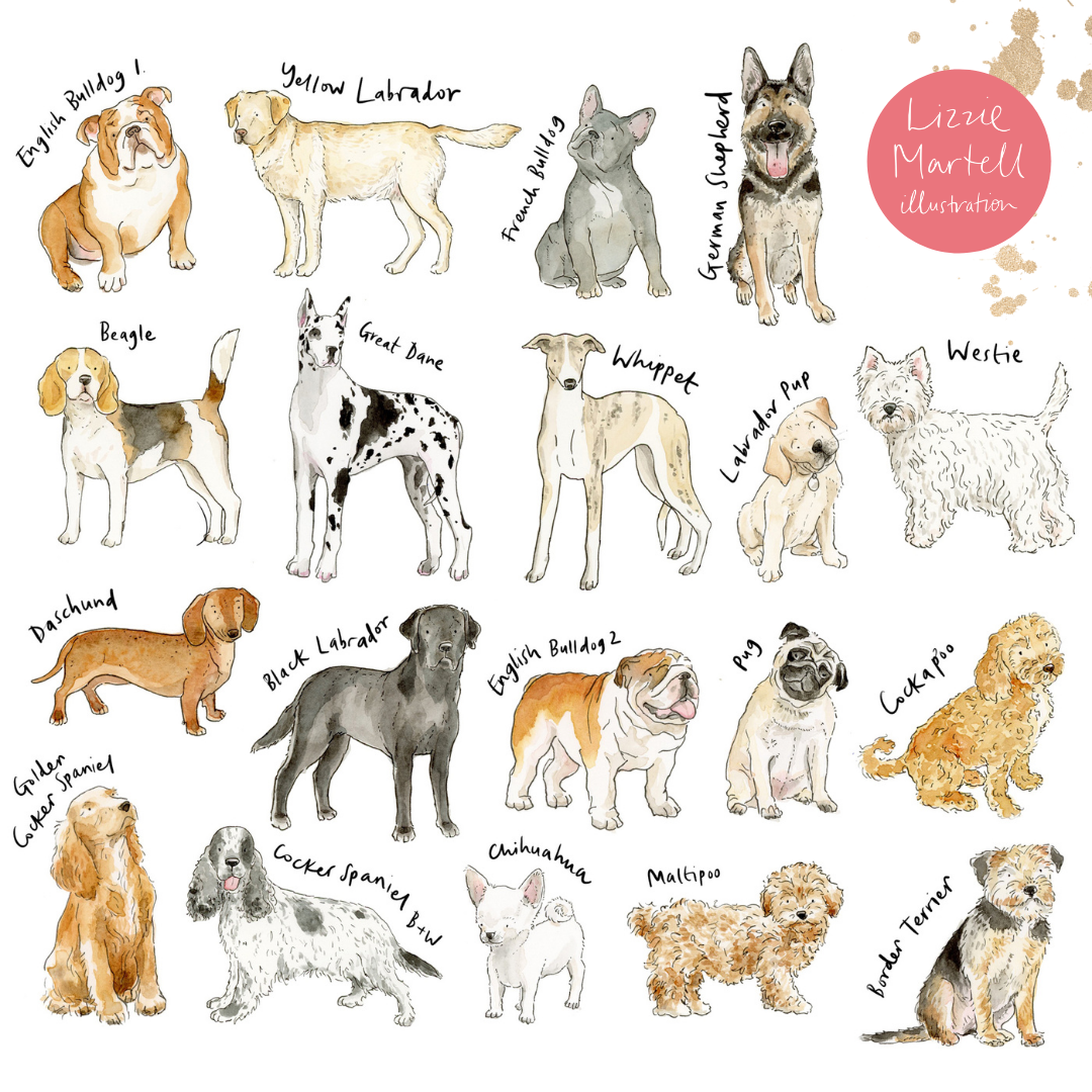 All Dogs eg. .png
