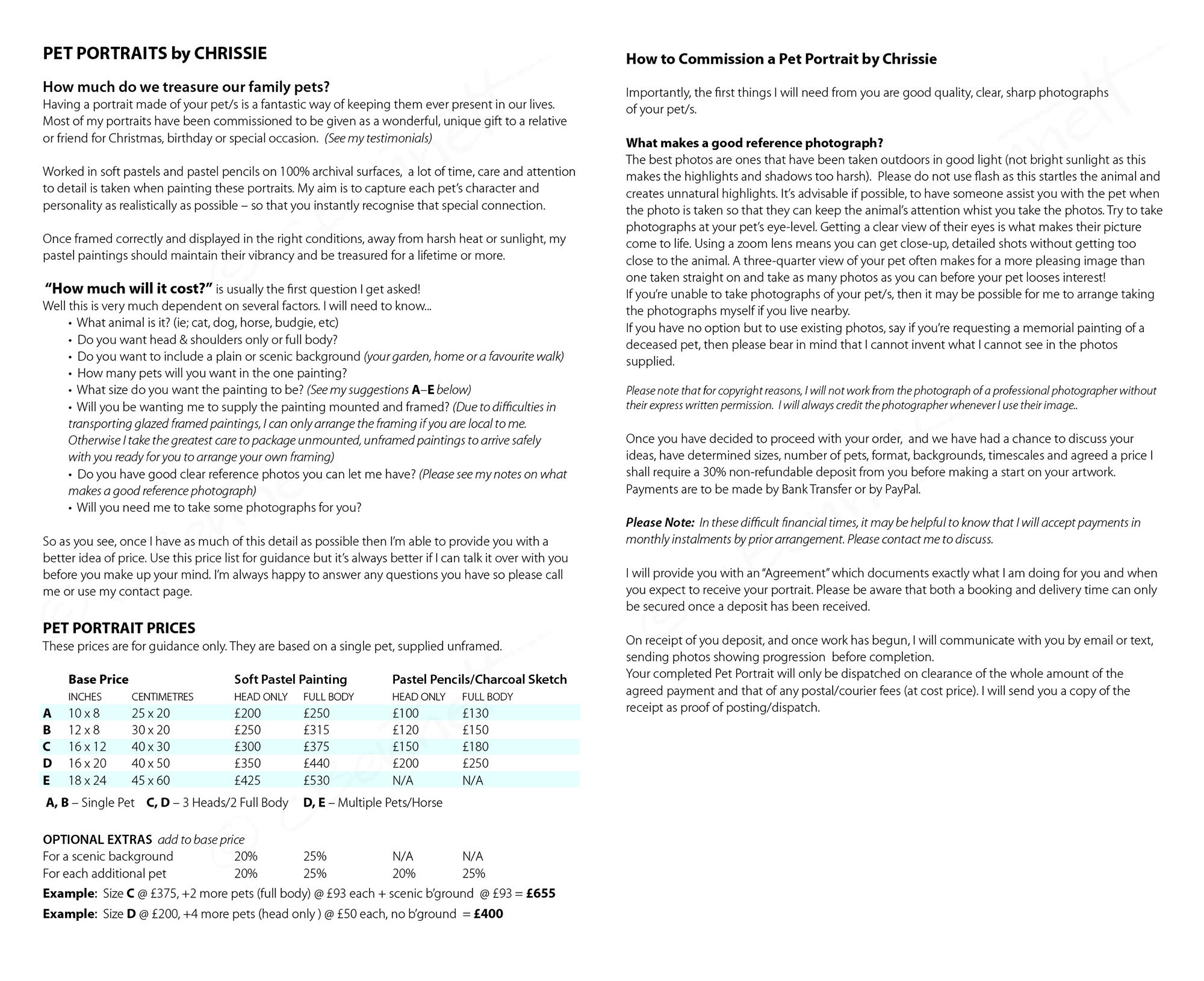 Pet Portrait Pricing — Christina Artist