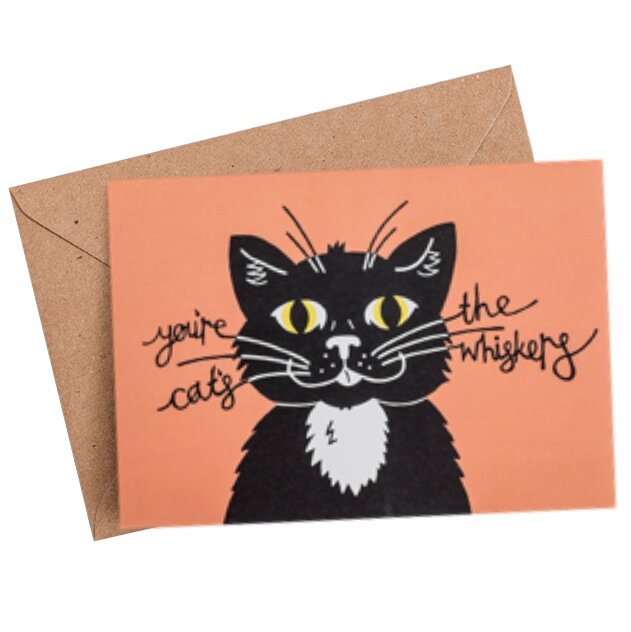 Cat's Whiskers - Birthday Card