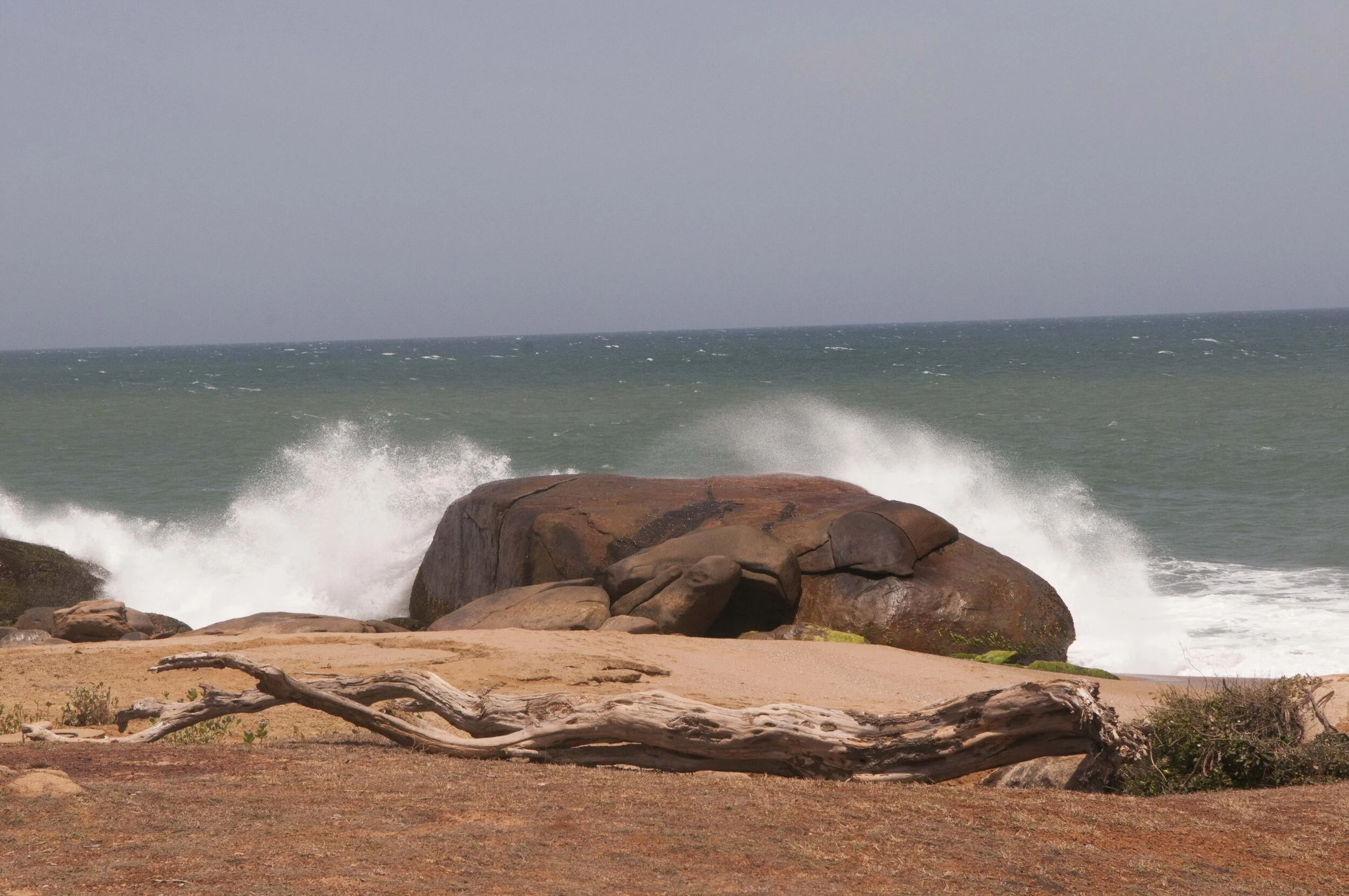 DSC_4277.JPG