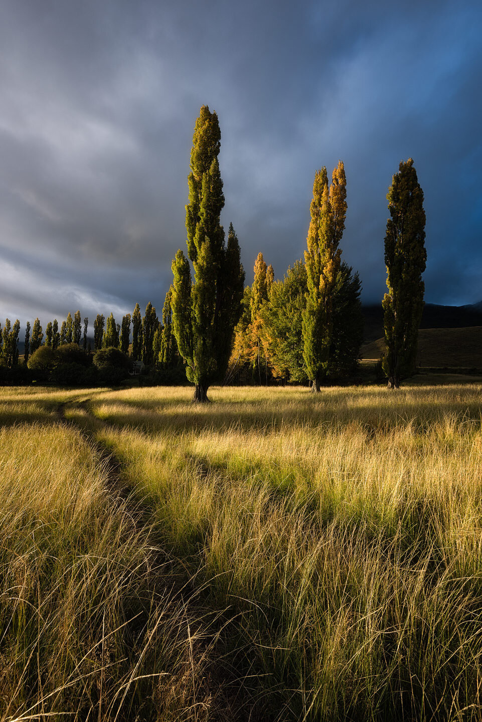 Farmland Icon