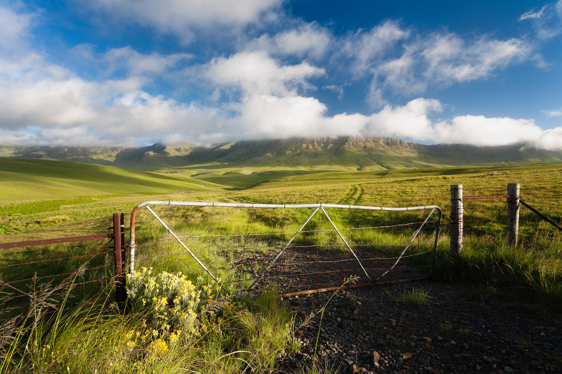 Eastern Cape Highlands