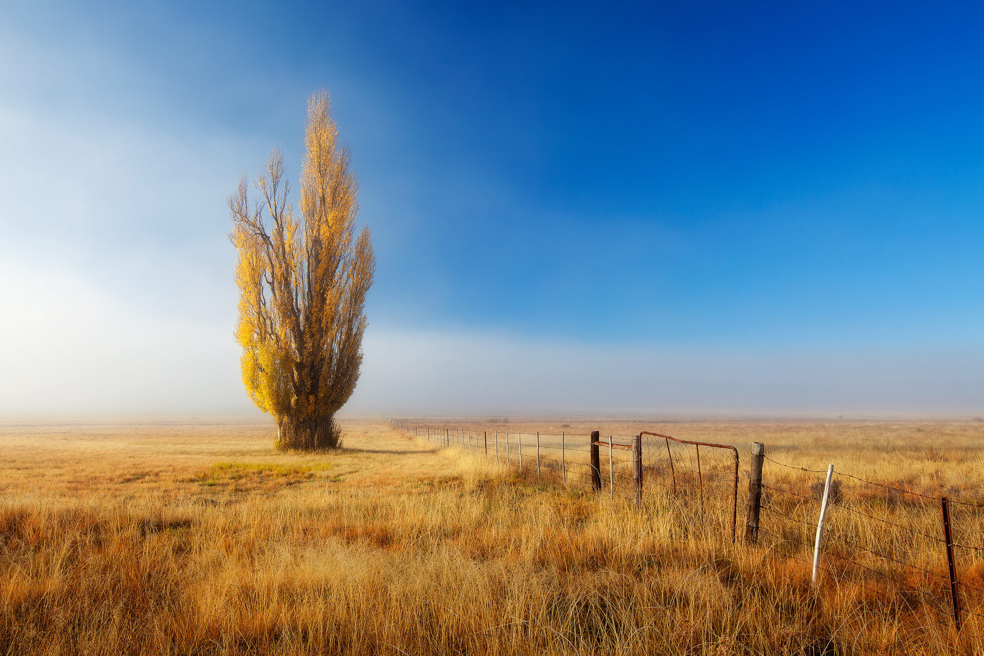 Close of Autumn