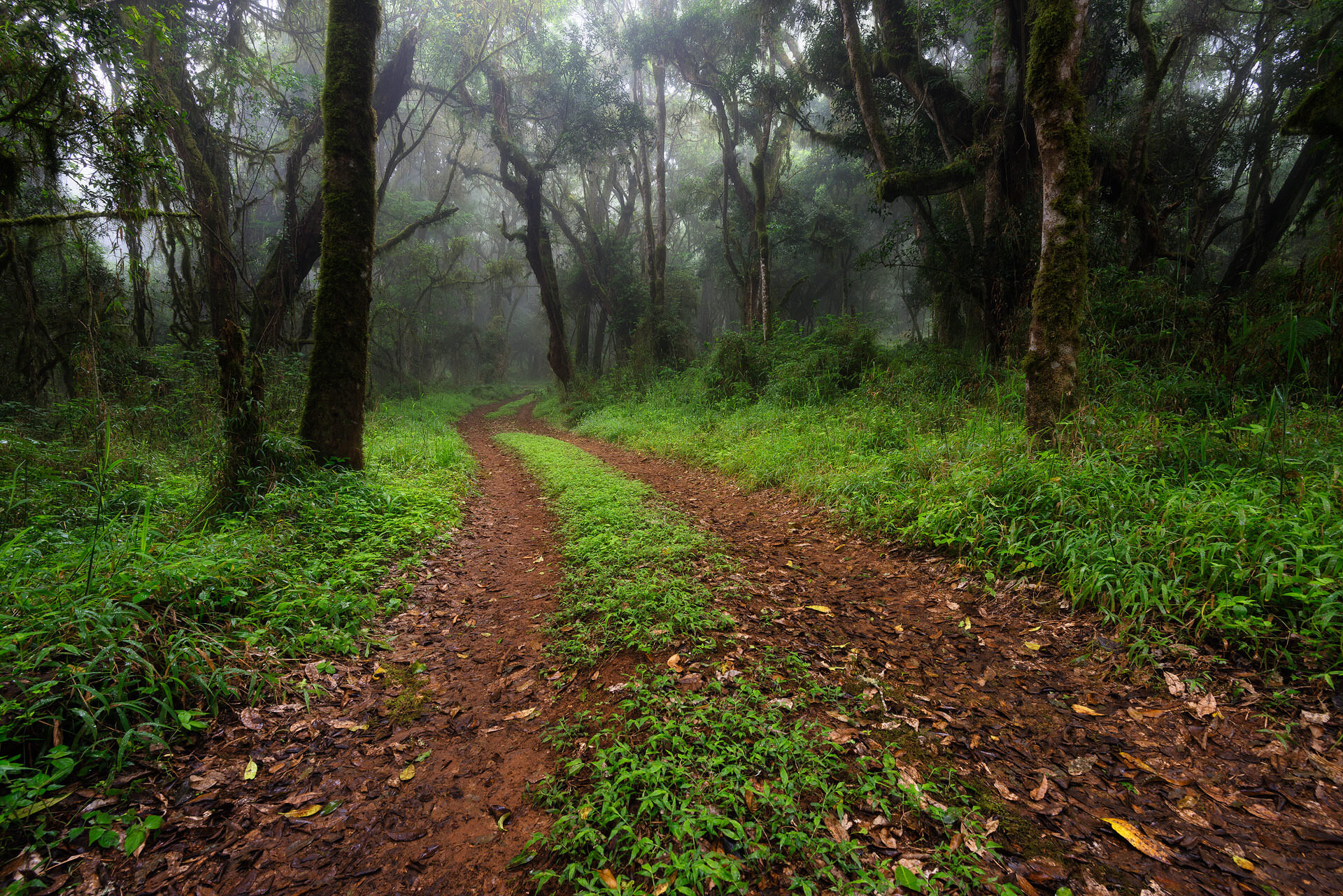 Magoebaskloof