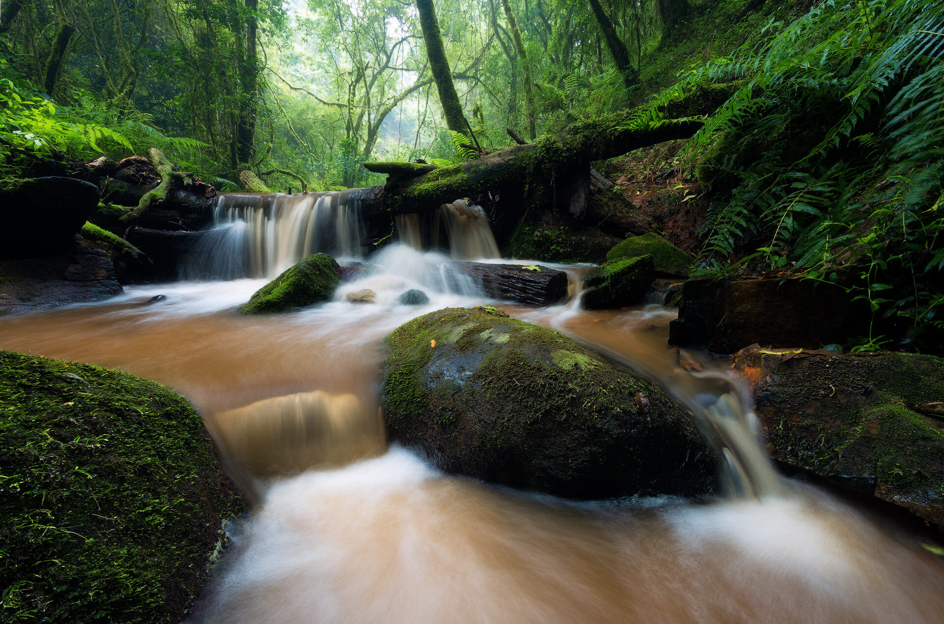 Magoebaskloof Stream