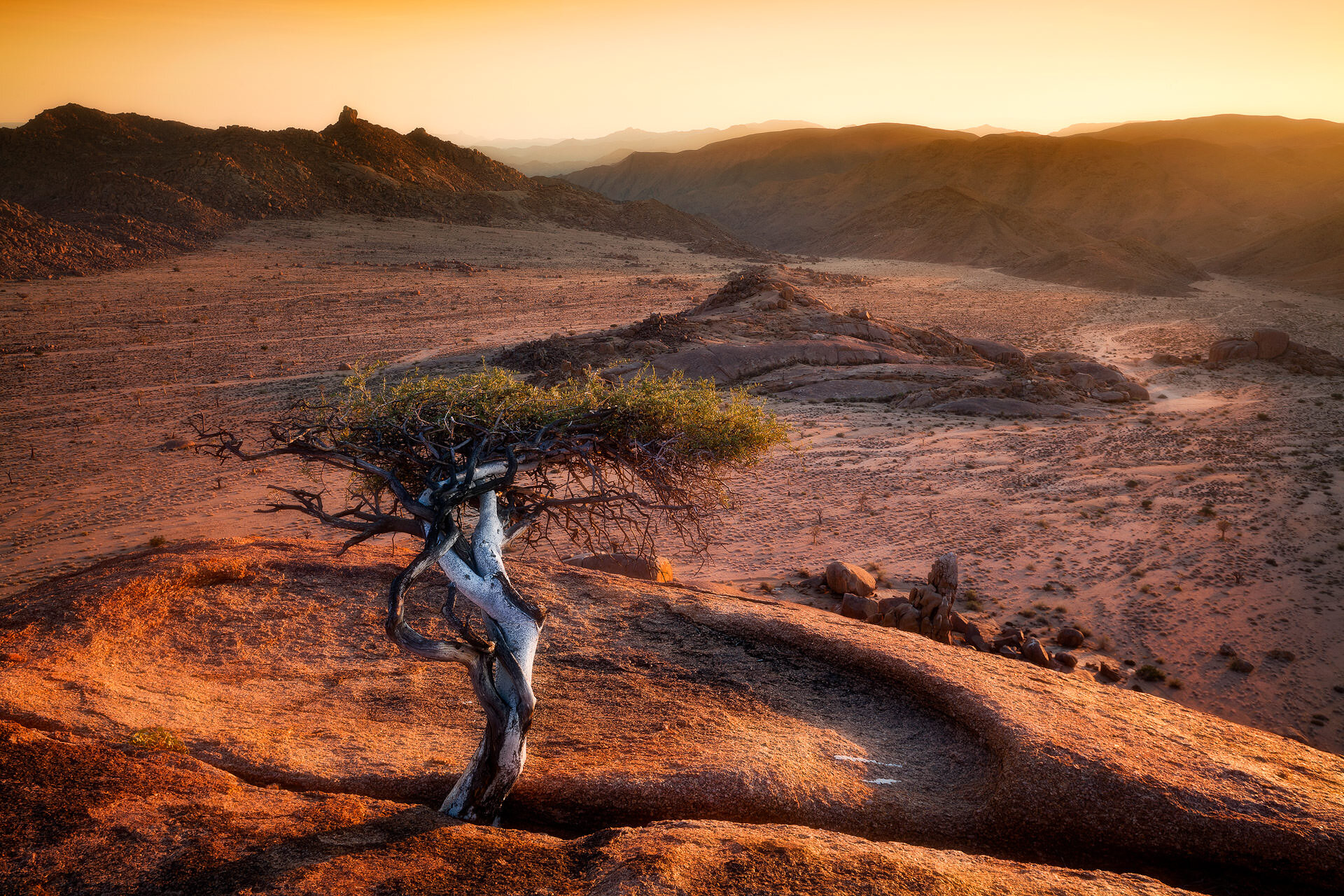 The Richtersveld