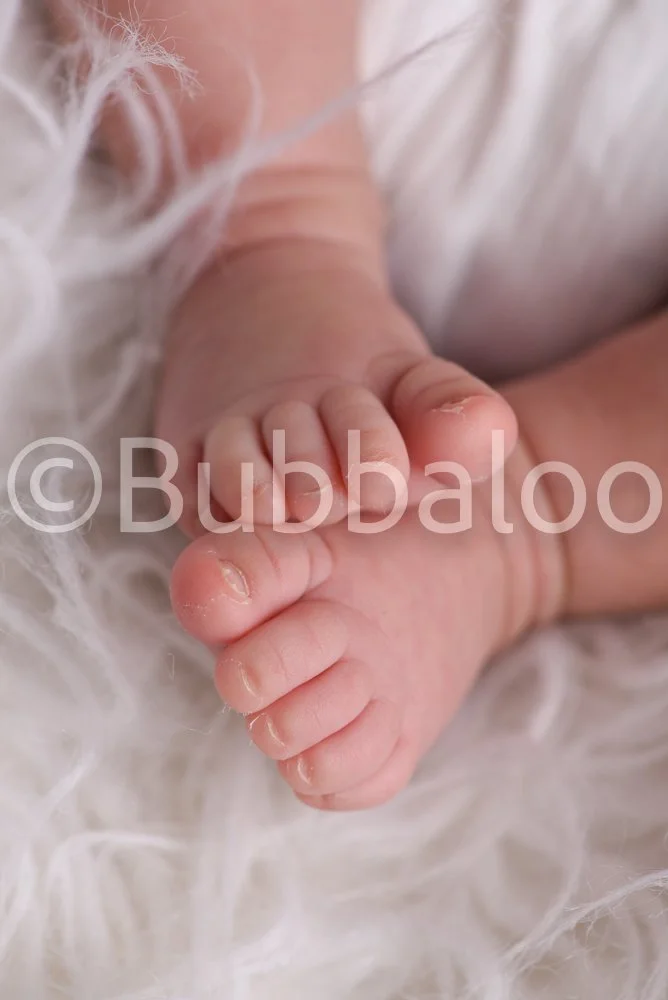 Bubbaloo (9 of 94).jpg