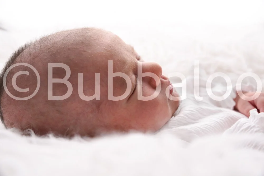 Bubbaloo (20 of 94).jpg