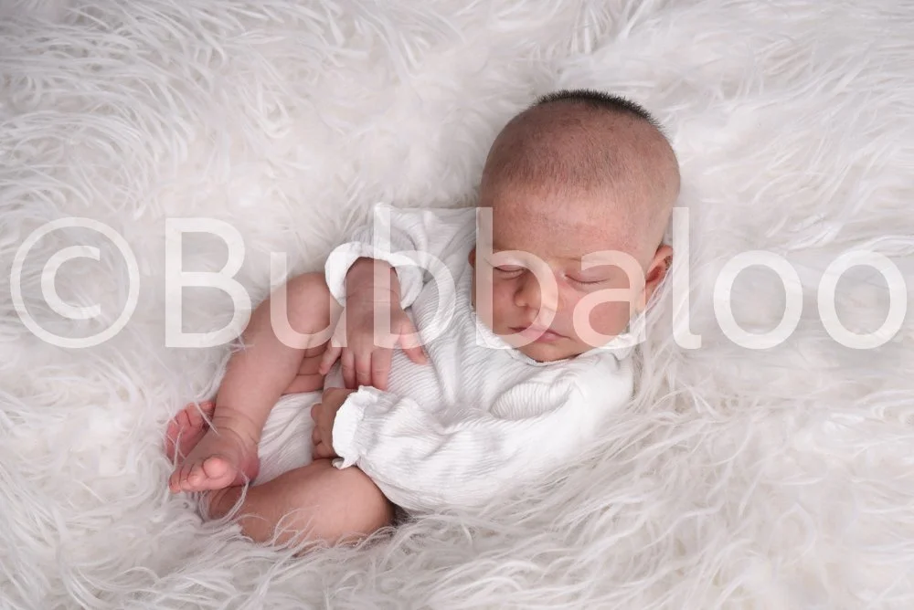 Bubbaloo (3 of 94).jpg