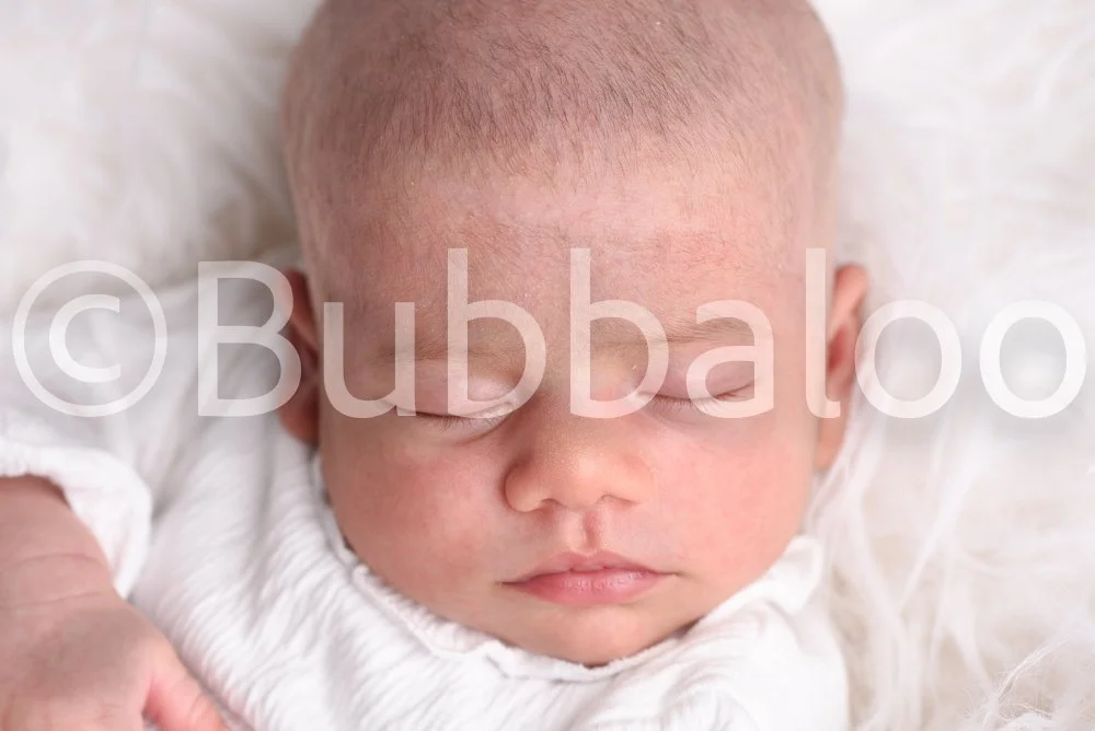 Bubbaloo (5 of 94).jpg