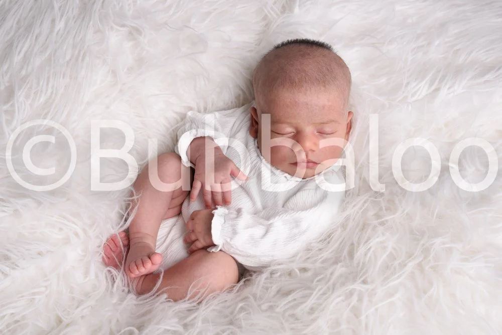 Bubbaloo (1 of 94).jpg