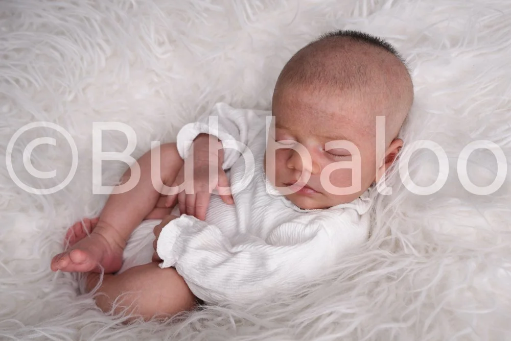 Bubbaloo (2 of 94).jpg