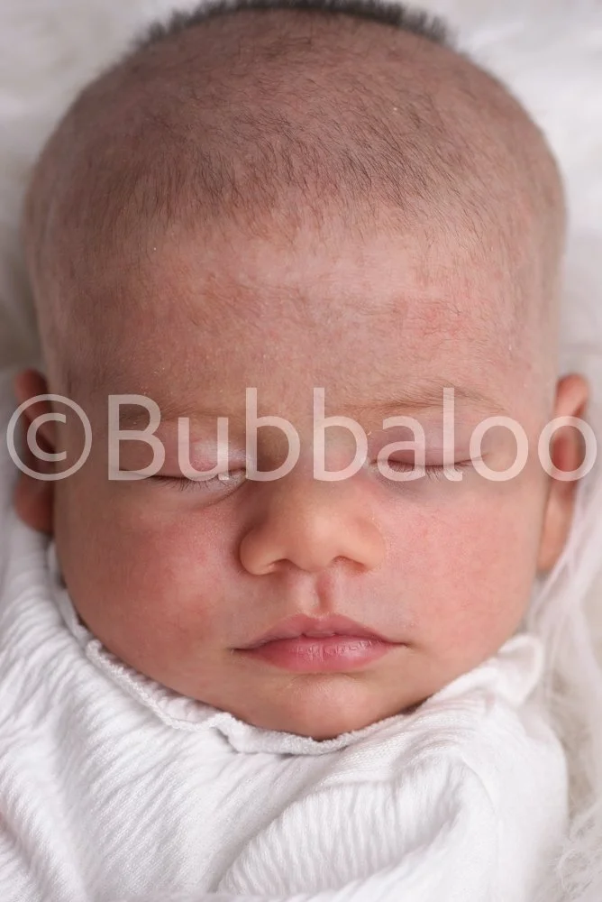 Bubbaloo (7 of 94).jpg
