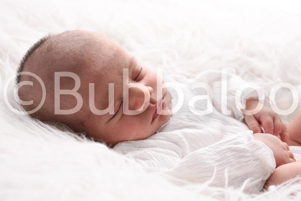 Bubbaloo (21 of 94).jpg