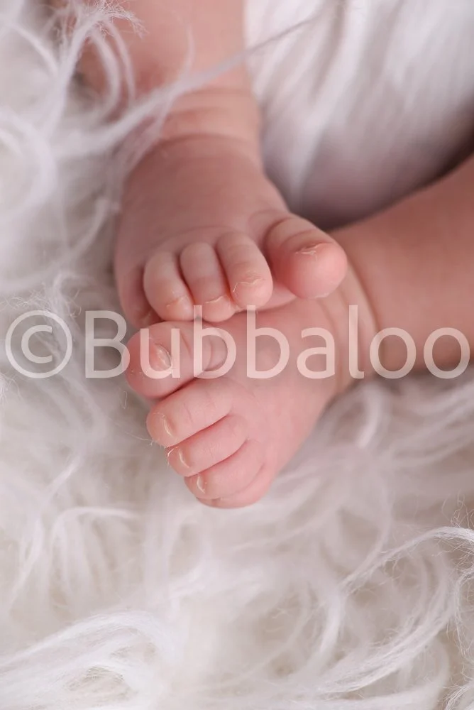 Bubbaloo (10 of 94).jpg
