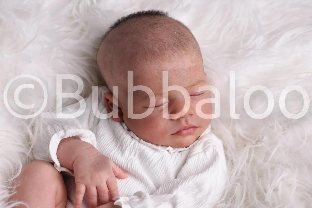 Bubbaloo (8 of 94).jpg