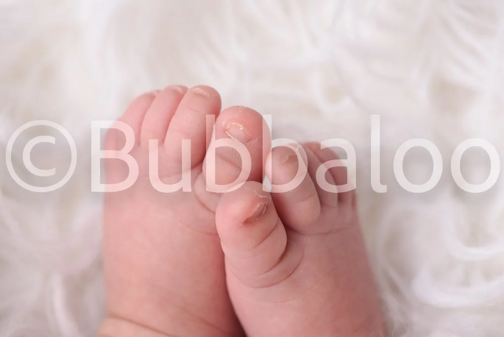 Bubbaloo (12 of 94).jpg
