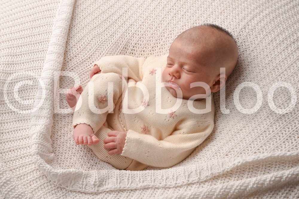 Bubbaloo (86 of 94).jpg