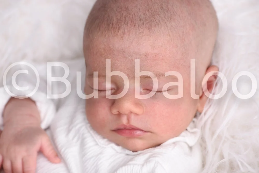 Bubbaloo (6 of 94).jpg