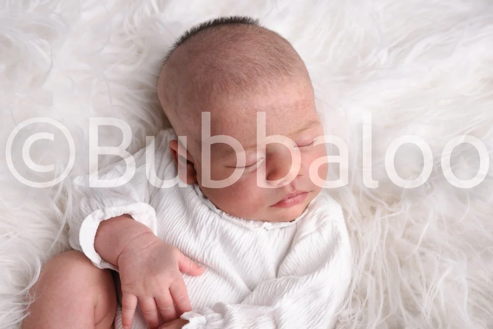 Bubbaloo (4 of 94).jpg