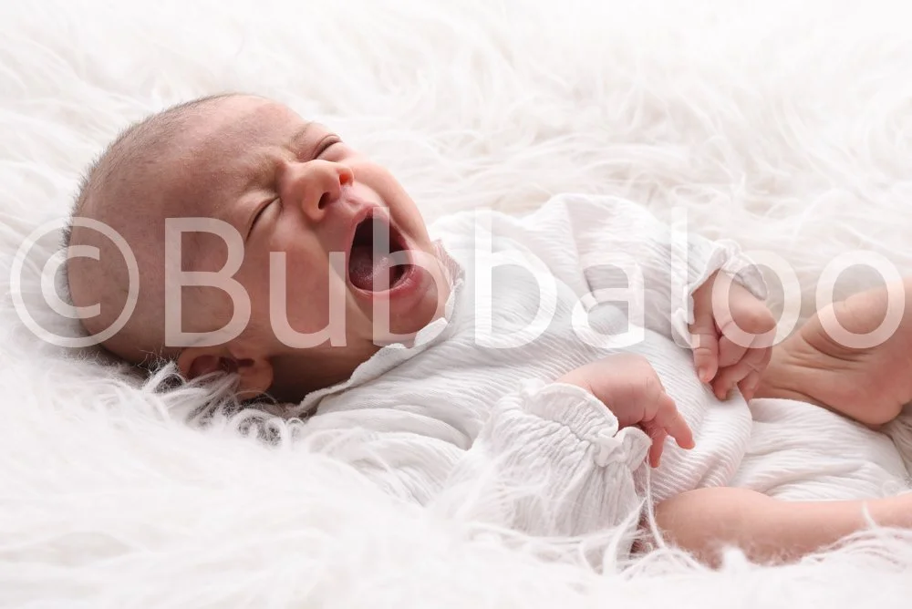 Bubbaloo (19 of 94).jpg